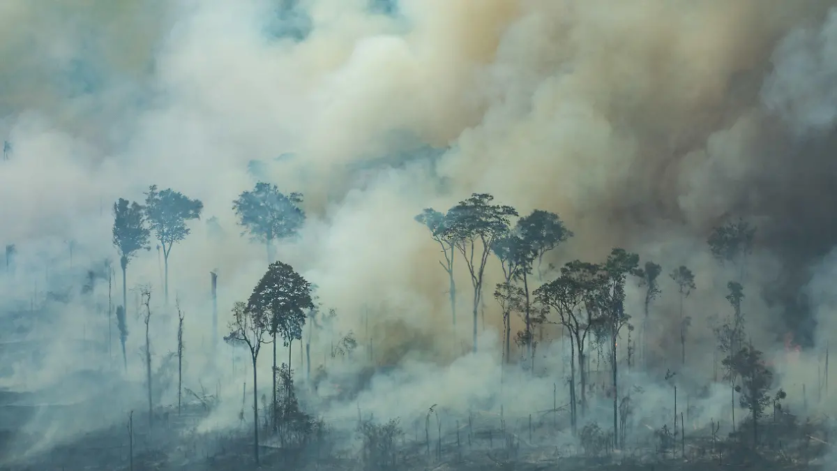 HANDOUT - 24.08.2019, Brasilien, Rondonia: Auf diesem von Greenpeace Brasilien zur Verfügung gestellten Bild steigt Rauch bei einem Brand nahe der Stadt Caneiras do Jamari in Rondonia. Angesichts der verheerenden Waldbrände im Amazonasgebiet setzt die brasilianische Regierung nun Soldaten bei den Löscharbeiten und der Verfolgung von Brandstiftern ein. Foto: Victor Moriyama/Greenpeace Brazil/dpa - ACHTUNG: Nur zur redaktionellen Verwendung im Zusammenhang mit der aktuellen Berichterstattung und nur mit vollständiger Nennung des vorstehenden Credits +++ dpa-Bildfunk +++