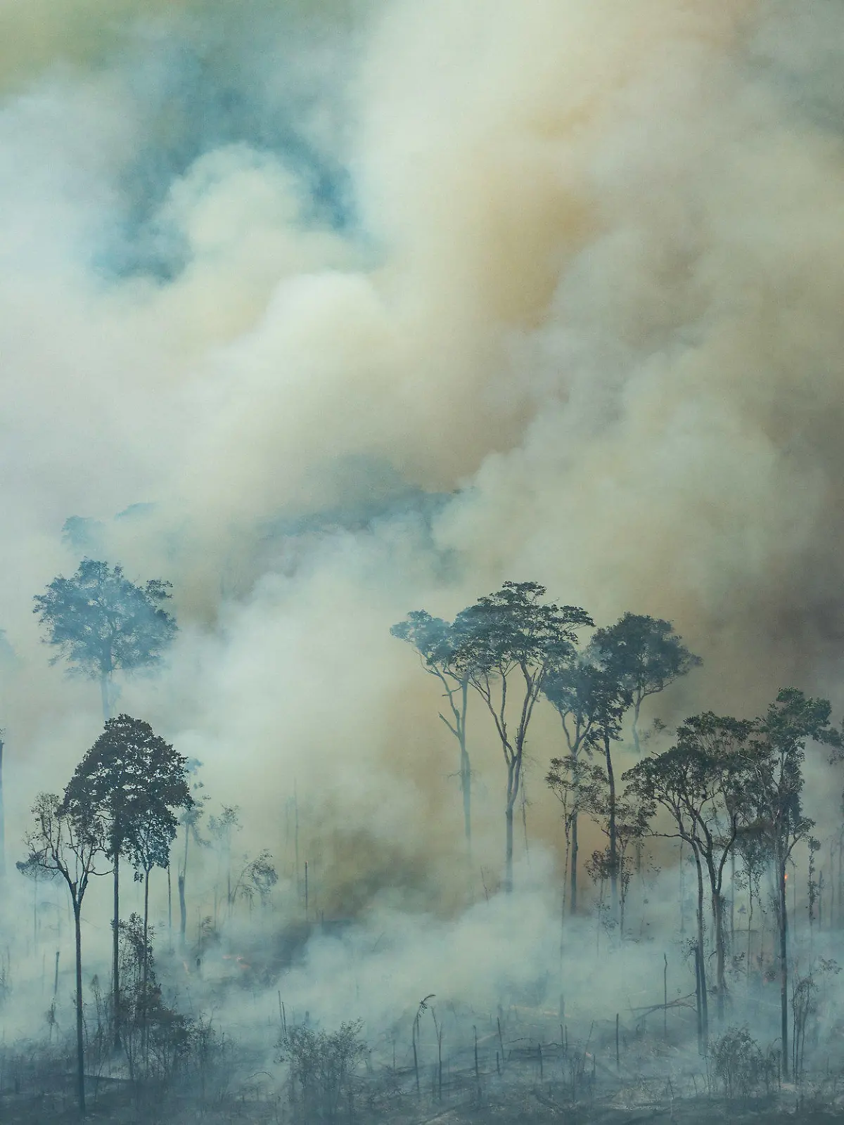 HANDOUT - 24.08.2019, Brasilien, Rondonia: Auf diesem von Greenpeace Brasilien zur Verfügung gestellten Bild steigt Rauch bei einem Brand nahe der Stadt Caneiras do Jamari in Rondonia. Angesichts der verheerenden Waldbrände im Amazonasgebiet setzt die brasilianische Regierung nun Soldaten bei den Löscharbeiten und der Verfolgung von Brandstiftern ein. Foto: Victor Moriyama/Greenpeace Brazil/dpa - ACHTUNG: Nur zur redaktionellen Verwendung im Zusammenhang mit der aktuellen Berichterstattung und nur mit vollständiger Nennung des vorstehenden Credits +++ dpa-Bildfunk +++