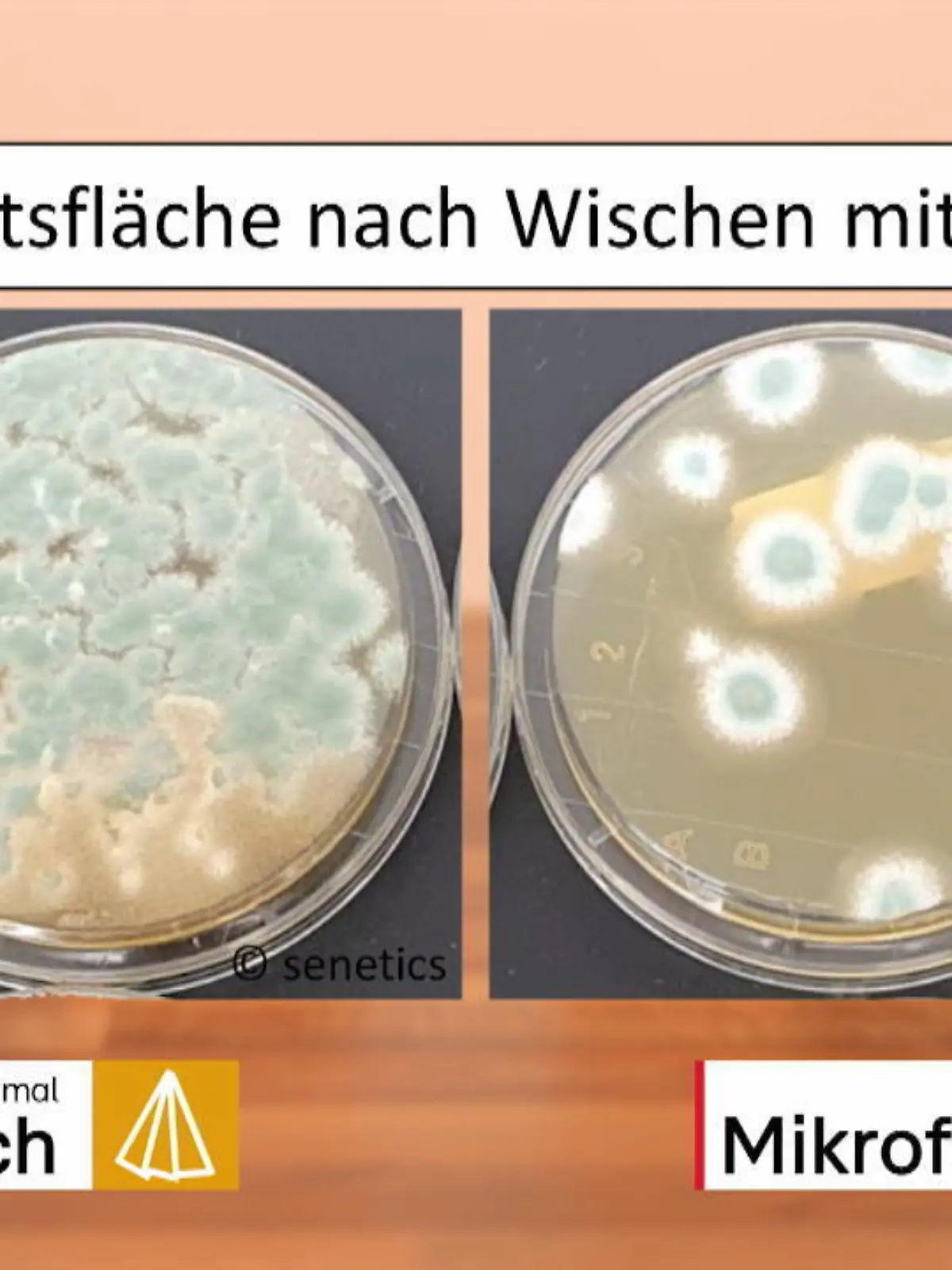 Einmal über die Arbeitsplatte wischen und schon ist alles sauber? Das ist leider meistens nicht der Fall. Laborberichte zeige immer wieder: Schimmel und Bakterien haben es in der Küche besonders einfach. Helfen da vielleicht antibakterielle Helfcherchen, wie Schwämme, Lappen und Bodenwischtücher?
