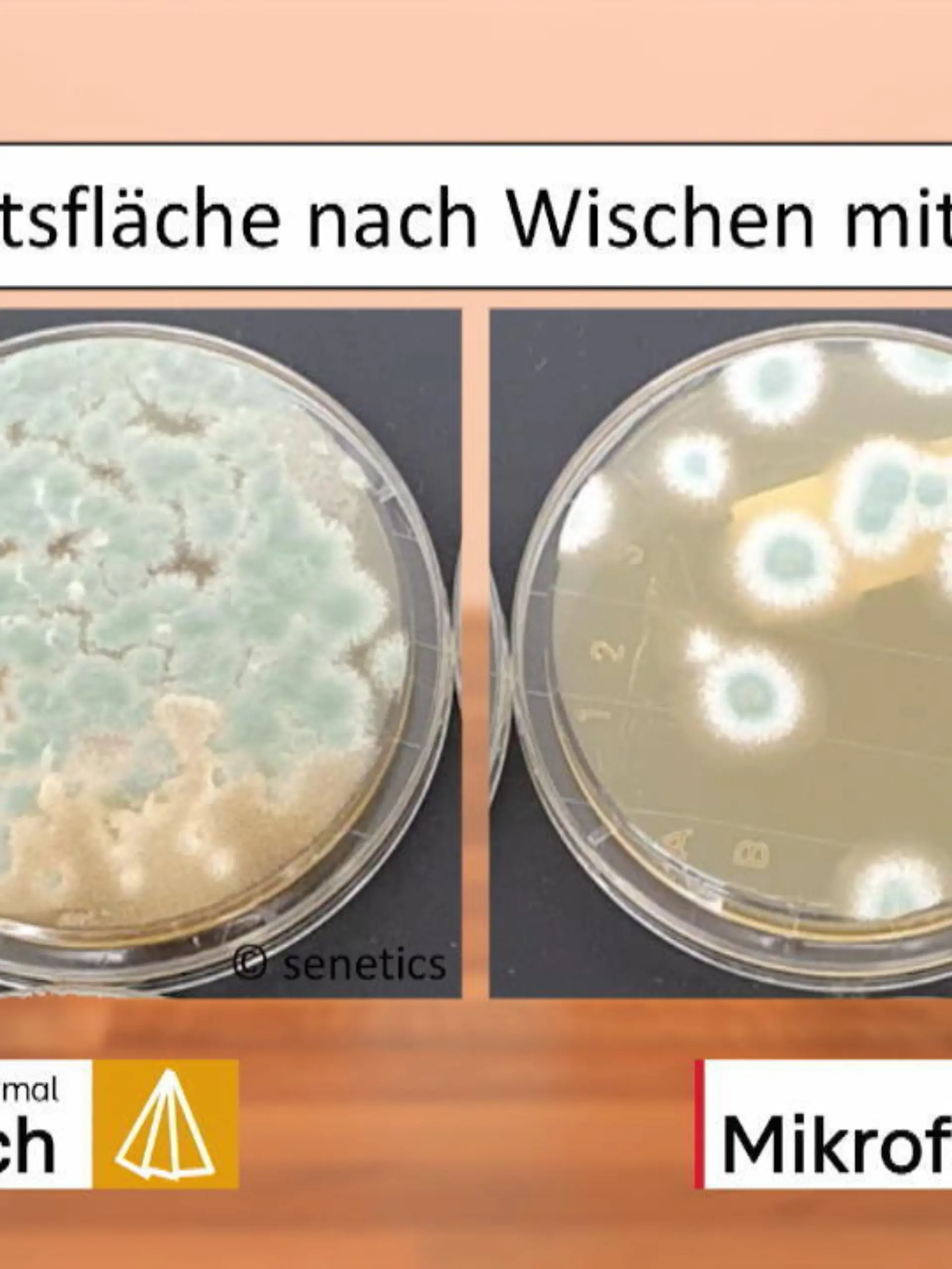 Einmal über die Arbeitsplatte wischen und schon ist alles sauber? Das ist leider meistens nicht der Fall. Laborberichte zeige immer wieder: Schimmel und Bakterien haben es in der Küche besonders einfach. Helfen da vielleicht antibakterielle Helfcherchen, wie Schwämme, Lappen und Bodenwischtücher?