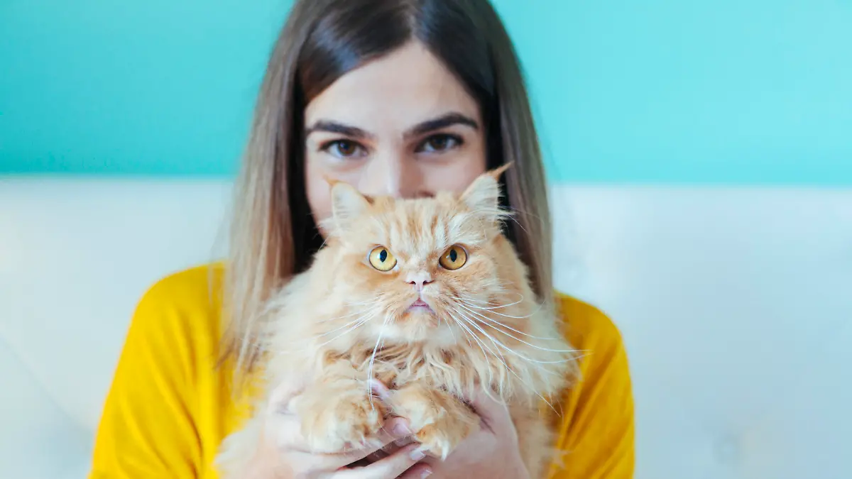"Crazy Cat Lady"? Gibt es nicht