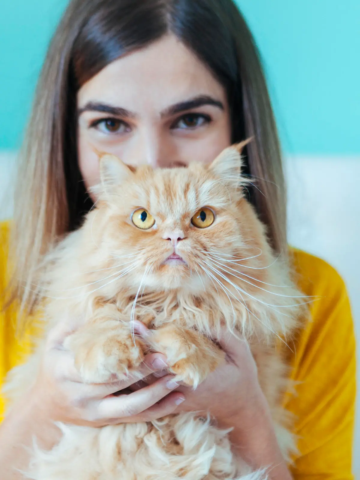 "Crazy Cat Lady"? Gibt es nicht