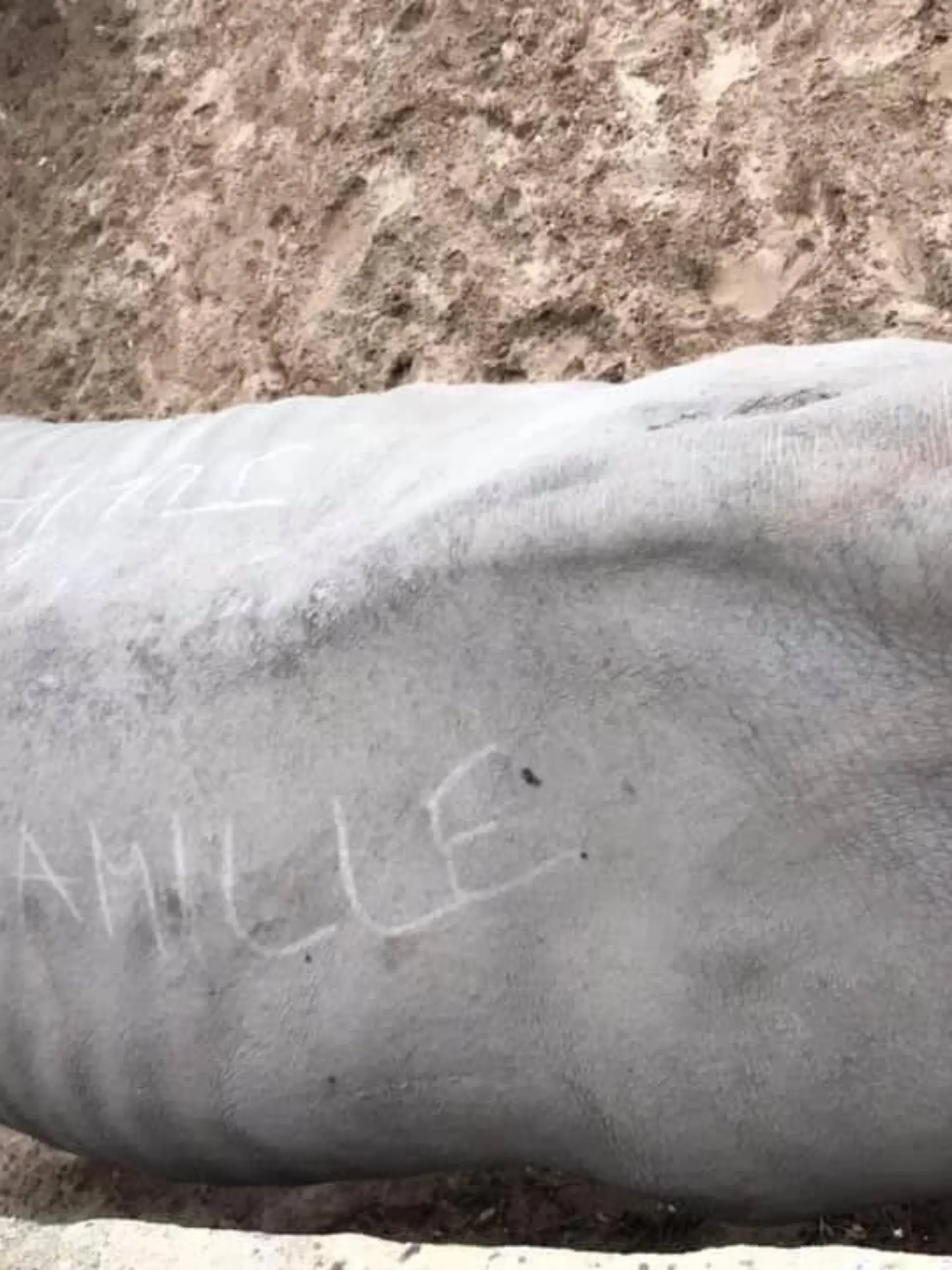 Ein Nashorn in einem Zoo in Frankreich wurde beschmiert Facebook/Royan News