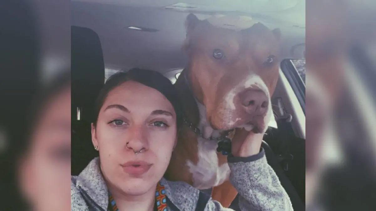 Trinity und Hund Irish