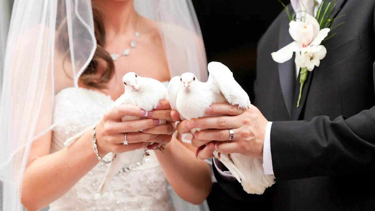 Zwei Hochzeitstauben