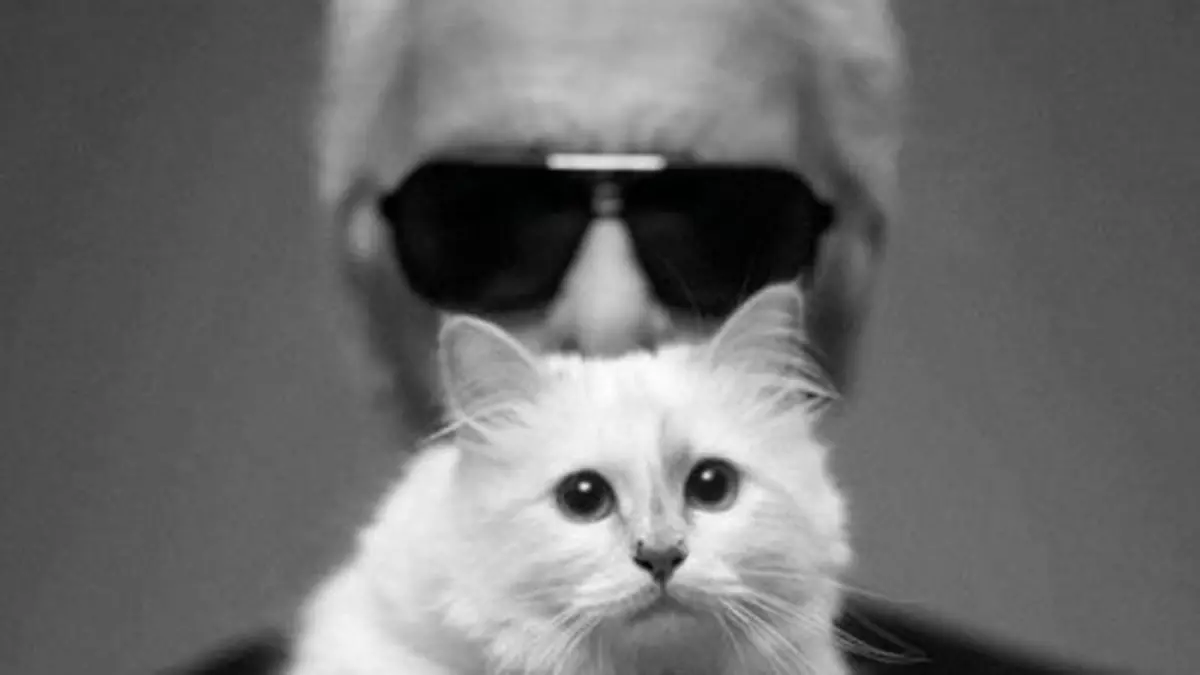 Karl Lagerfeld: Erbt Choupette alles?