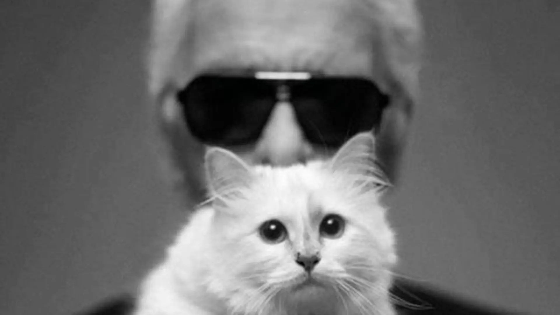 Karl Lagerfeld: Erbt Choupette alles?
