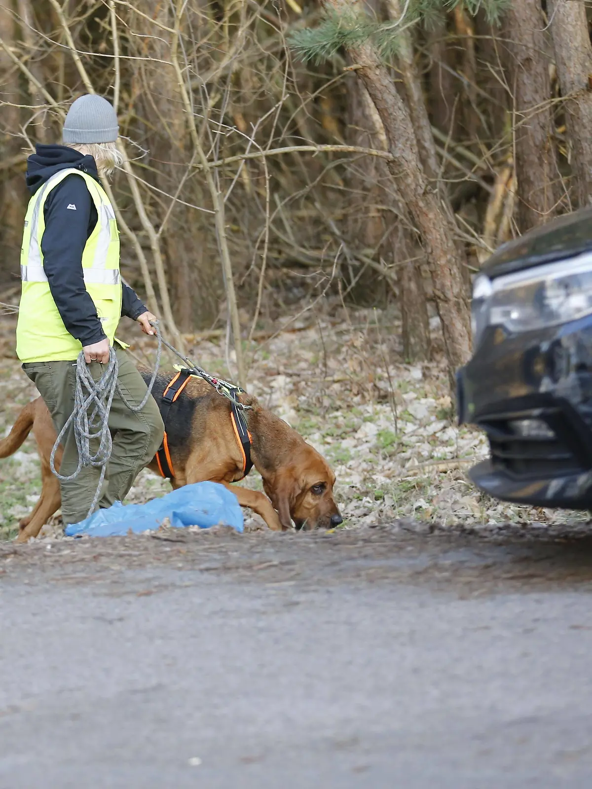 Germany: Police search forest area for the missing Brandenburg: Search operation of the riot police with dogs and helicopters in the forest after the missing Rebecca from Berlin. The forest area is located in southeastern Berlin near Storkow. The 15-year-old student is missing since 18 February 2019. Kummersdorf bei Storkow Brandenburg Germany Waldgebiet PUBLICATIONxINxGERxSUIxAUTxONLY SimonexKuhlmey  