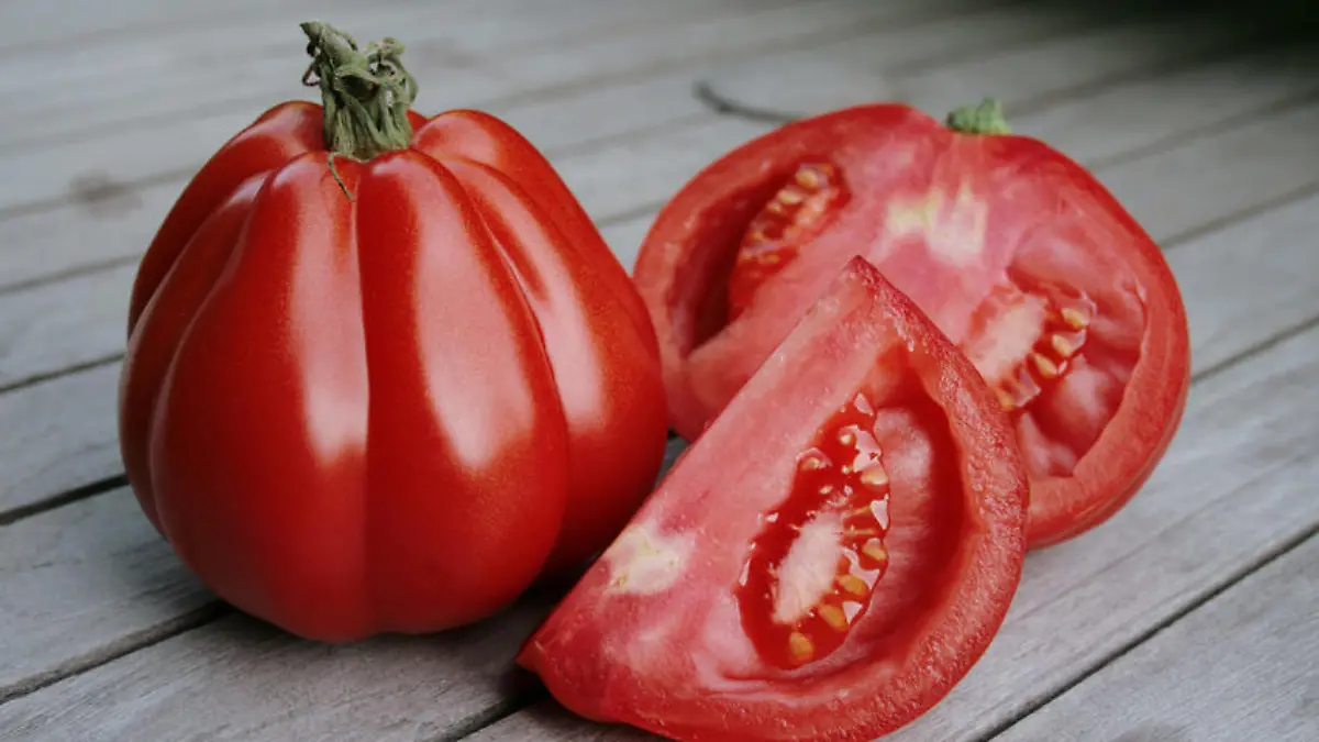 Fotolia 15413617 S gerippte Tomaten.jpg