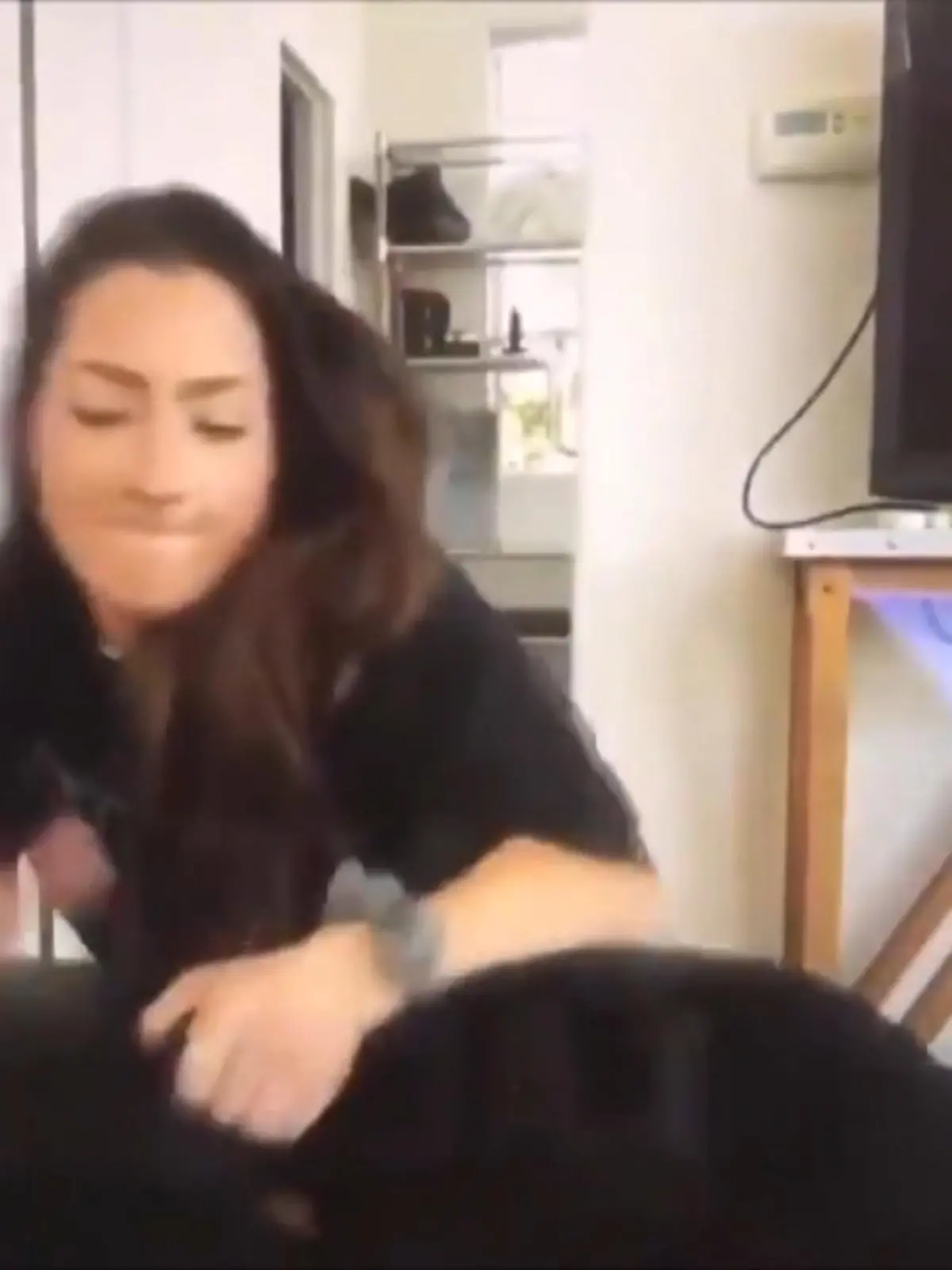 Bild zu: "Youtuberin schlägt ihren Hund"