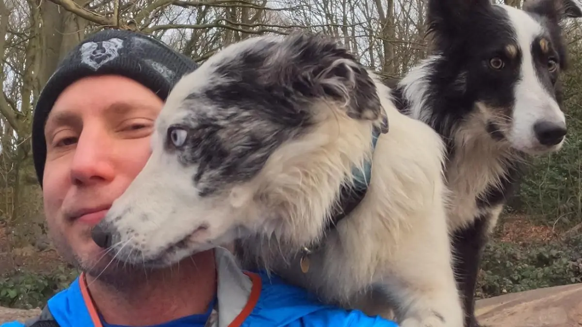 Aaron Robinson und seine beiden Border Collies.