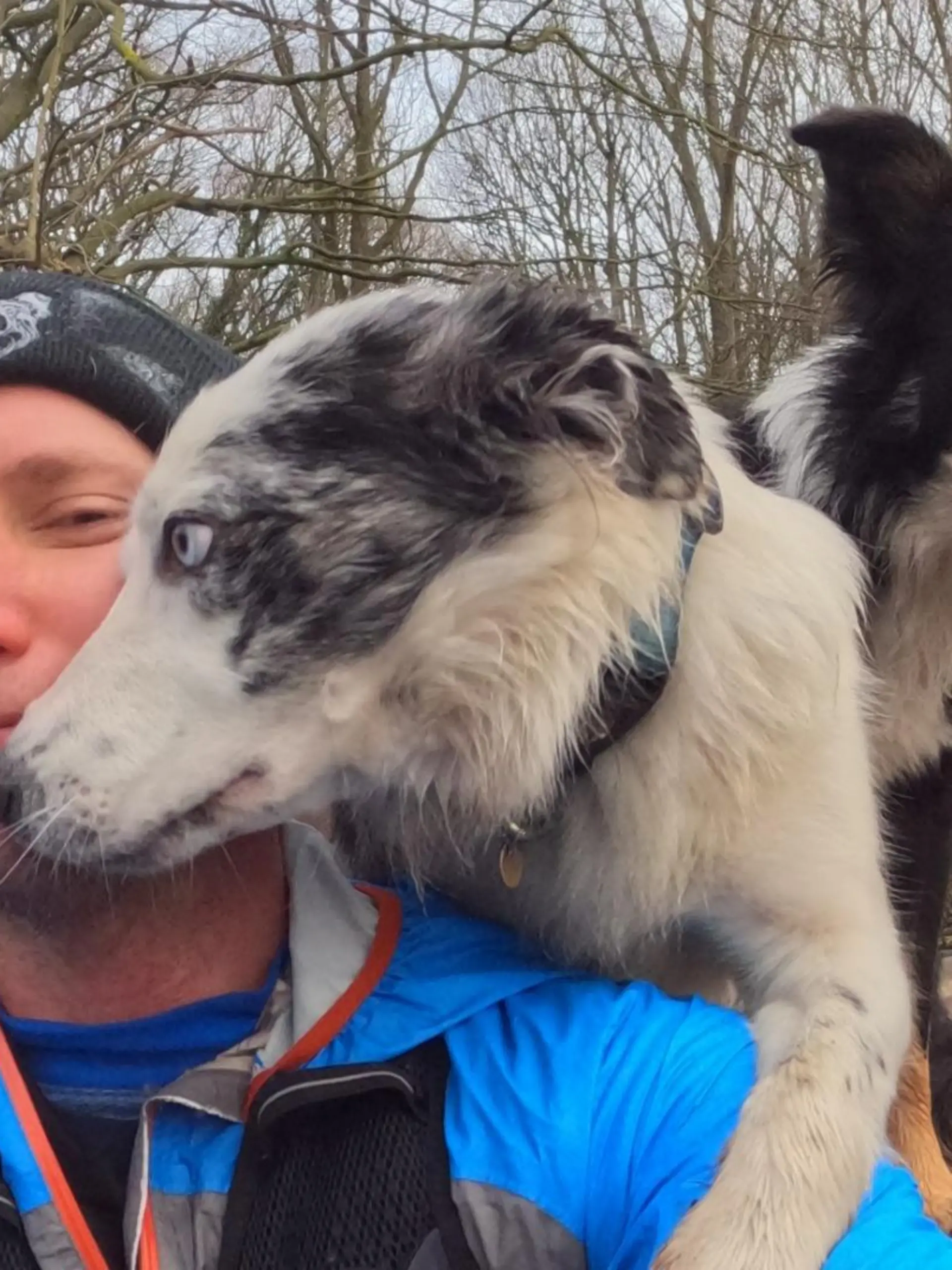 Aaron Robinson und seine beiden Border Collies.