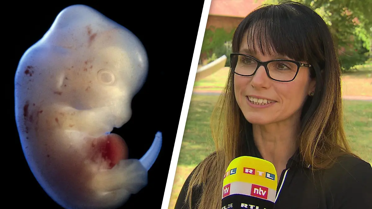 Links: Ein Rattenembryo in Lichtmikroskop-Aufnahme. Rechts: Monika Nowak-Imialek vom Institut für Tiergenetik.
