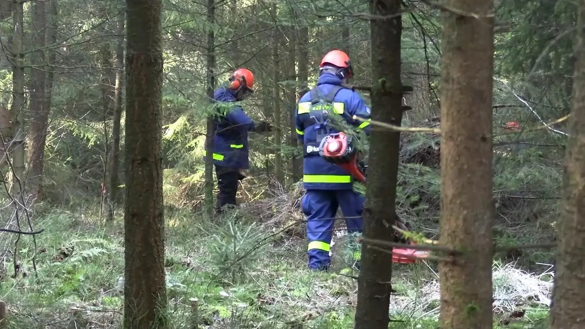 Ermittler durchsuchen ein zehn Hektar großes Areal.