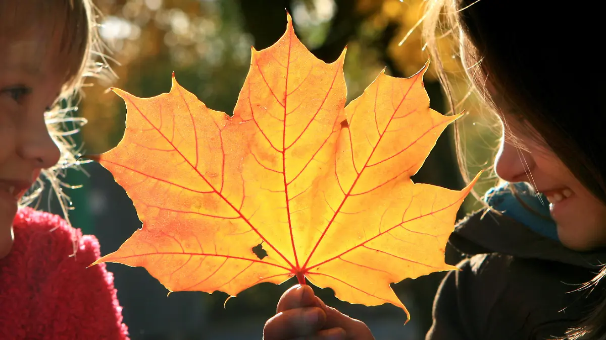 Im Kindergarten Matroschka in Frankfurt (Oder) lachen am Donnerstag (26.10.2006) Luisa (l) und Olivia hinter einem herbstlich gefärbten Ahornblatt. Ungewöhnlich milde Herbsttemperaturen von bis zu 25 Grad sagen die Meteorologen für Donnerstag vorraus, bevor es zum Wochenende kühler werden soll. Foto: Patrick Pleul/lbn +++(c) dpa - Report+++
