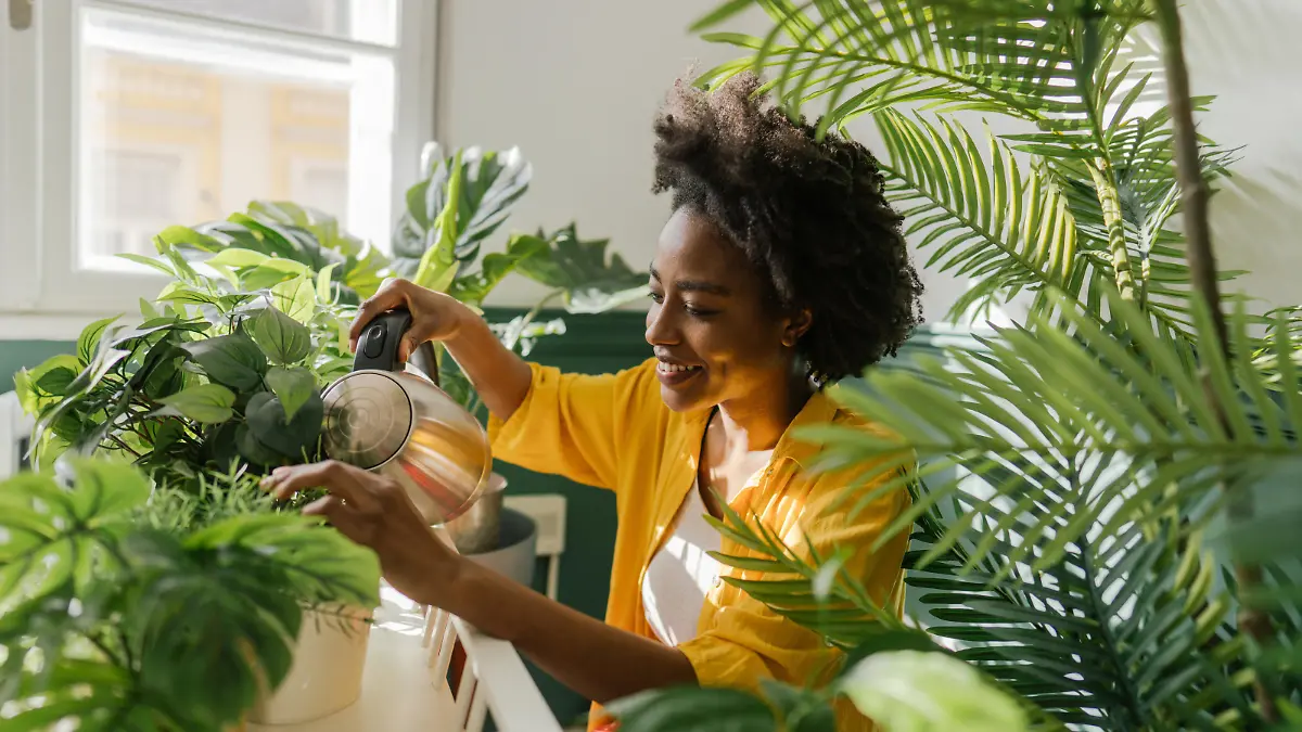 Photo of a young African American woman, taking care of her houseplants