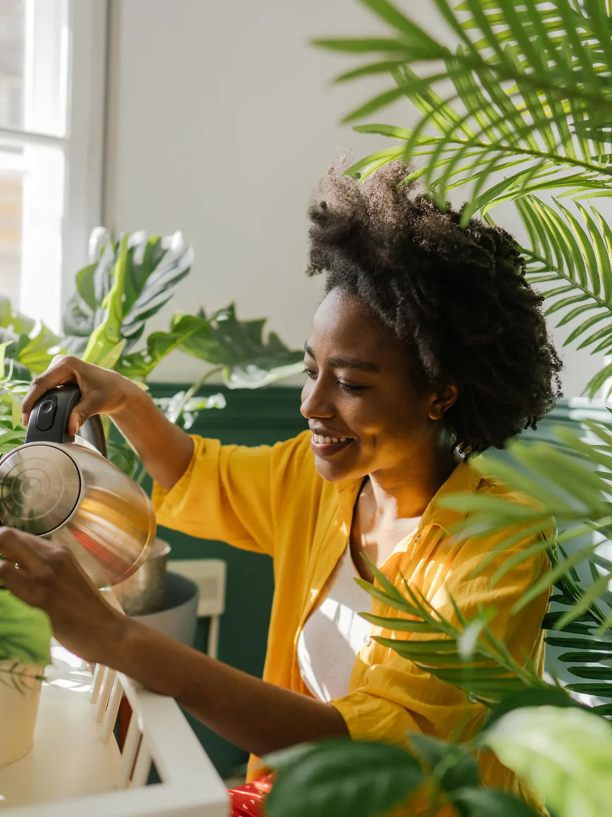 Photo of a young African American woman, taking care of her houseplants
