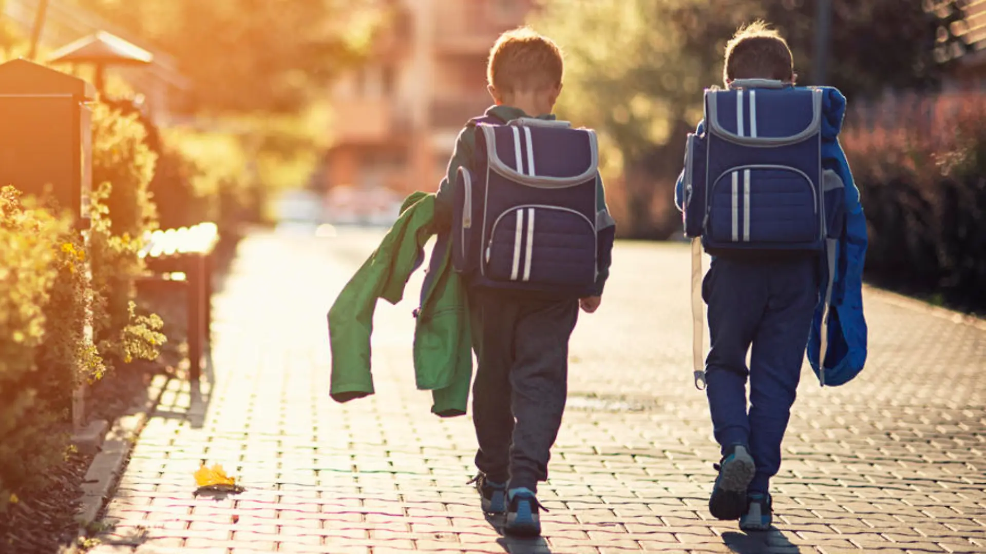 Two little boys wearing blue backpacks or schoolbags walking in residential area walkway. Little brothers are either going to school in the morning or returning from school in the evening.