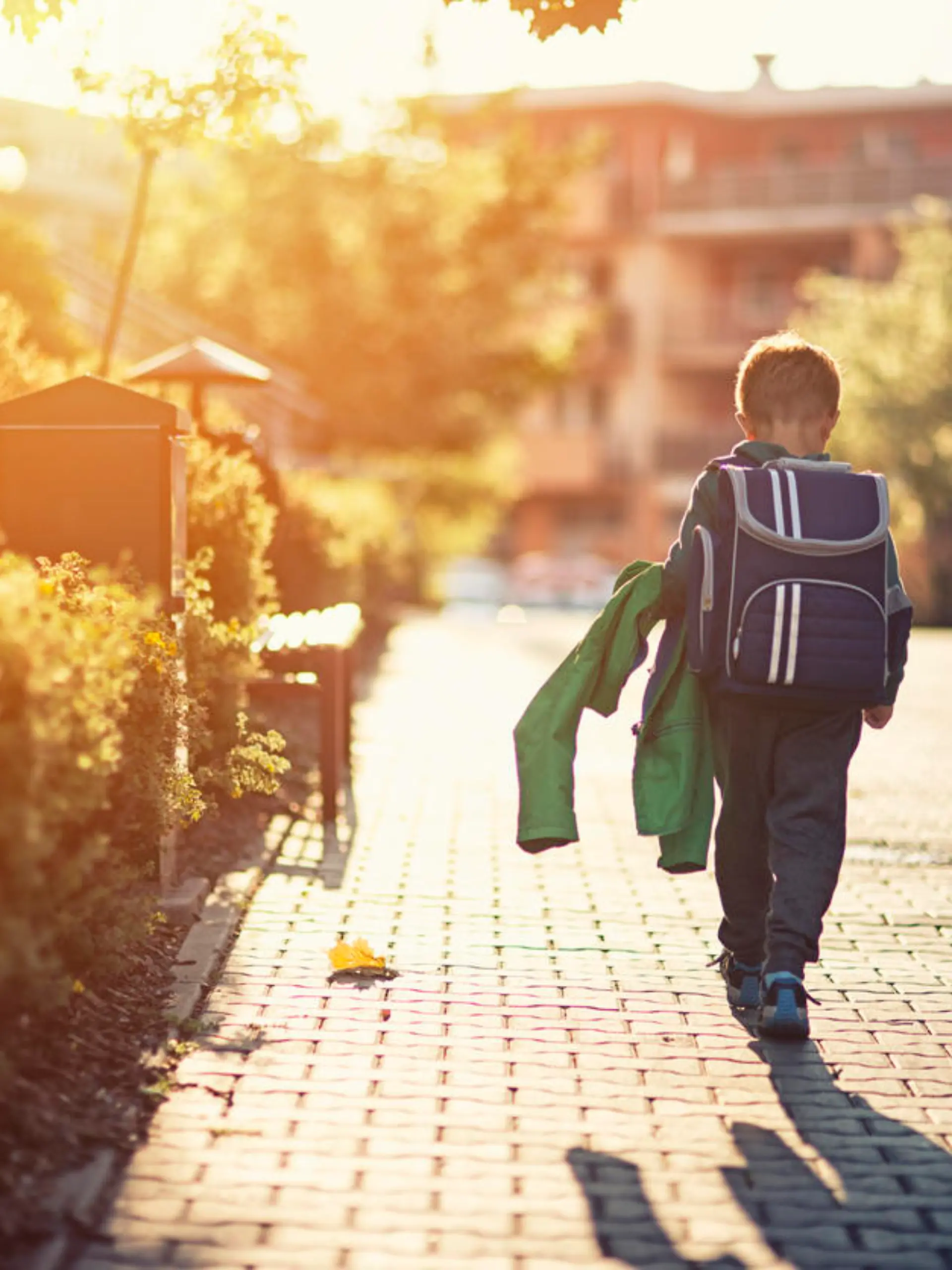 Two little boys wearing blue backpacks or schoolbags walking in residential area walkway. Little brothers are either going to school in the morning or returning from school in the evening.