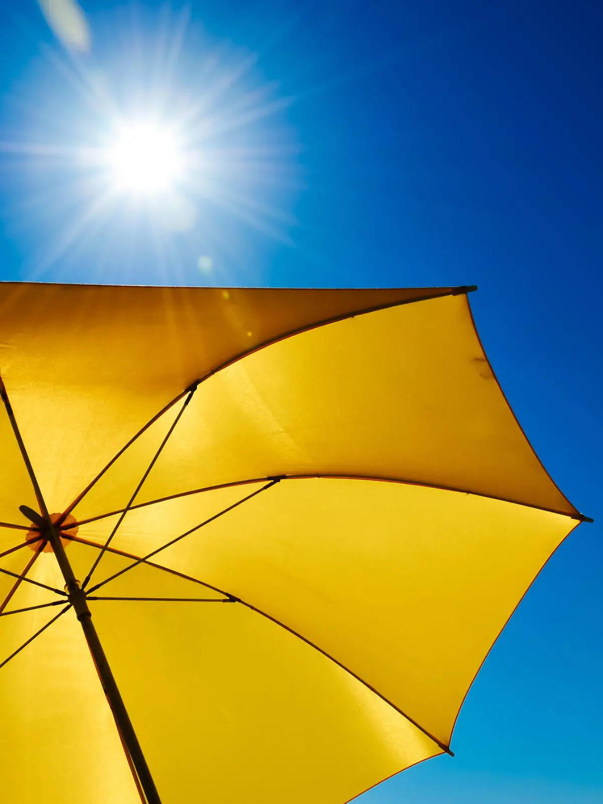 Sonnenschirm Sonne