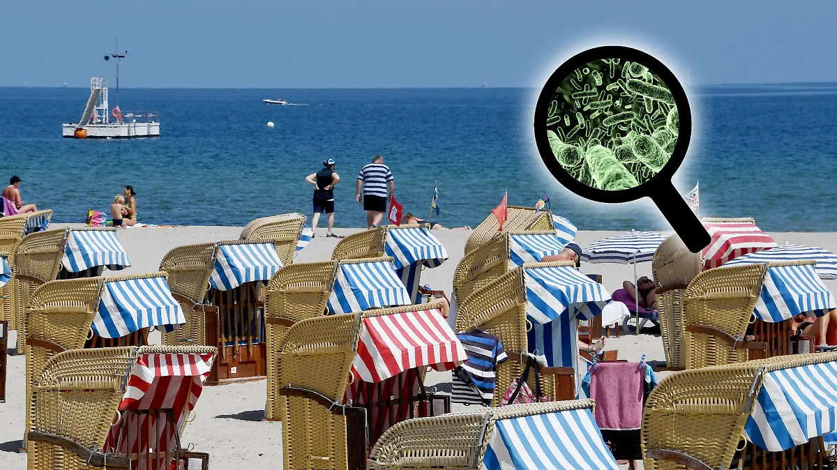 Strandkörbe an der Ostsee
