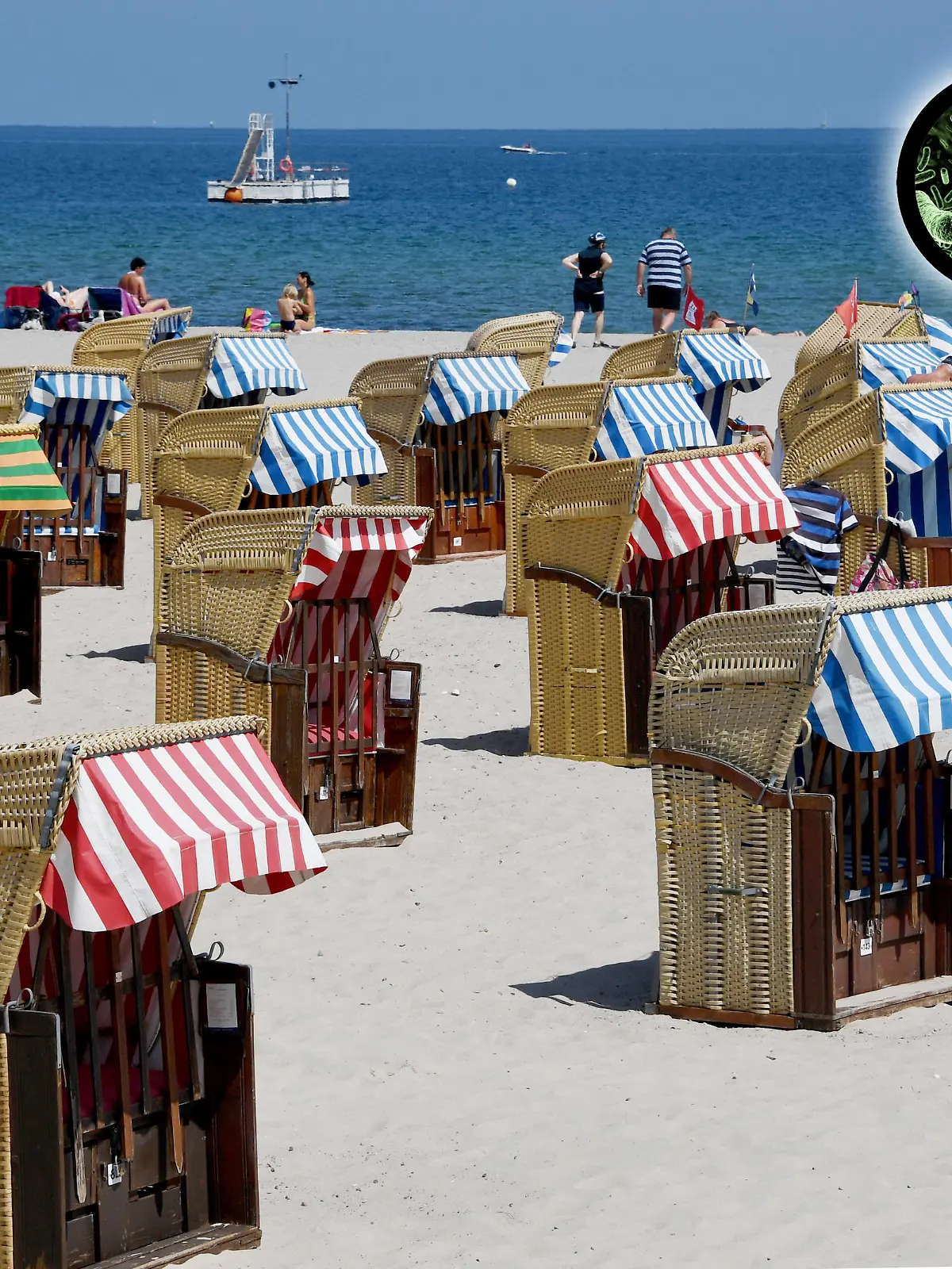 Strandkörbe an der Ostsee