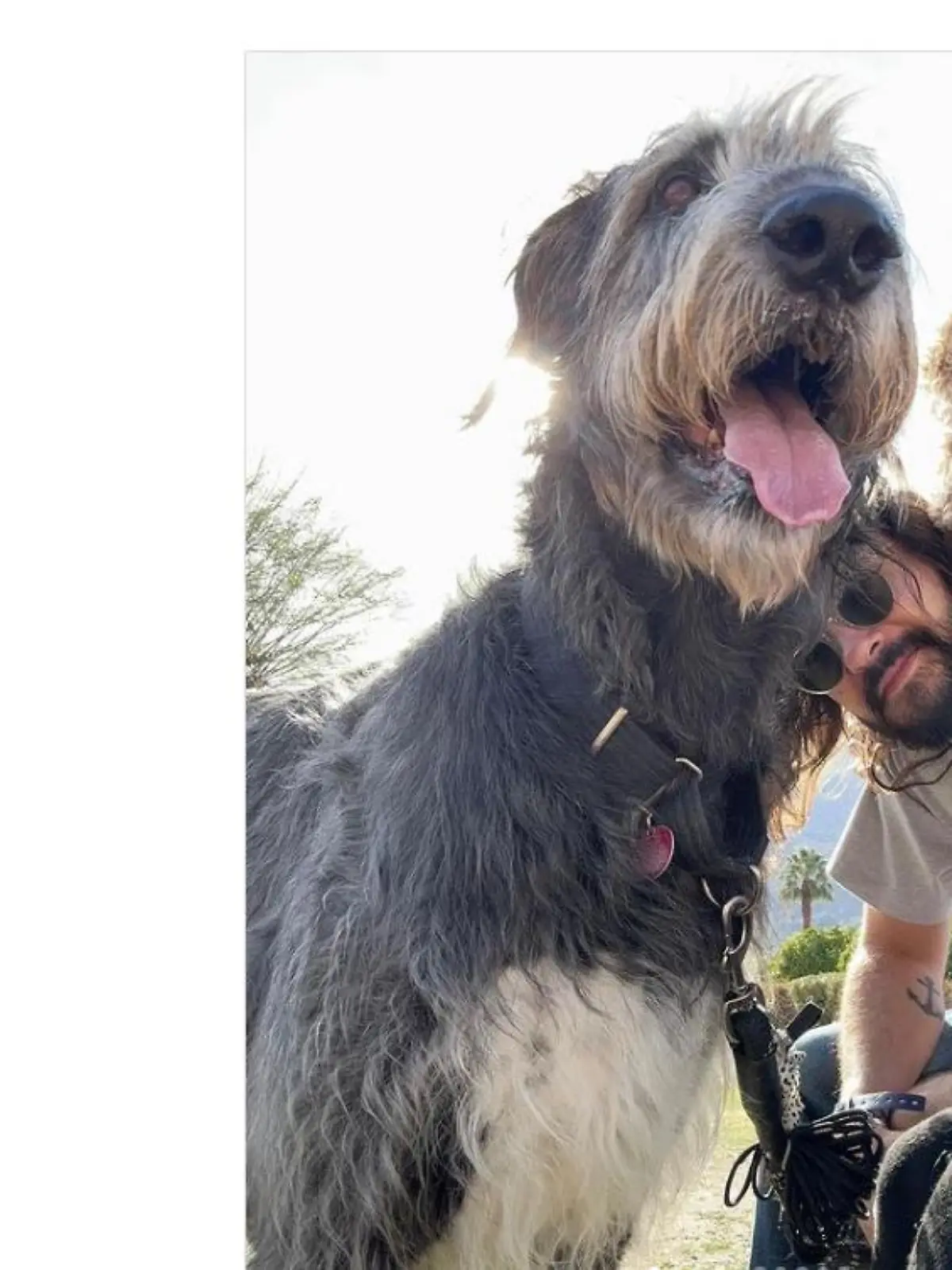Heidi Klum und Tom und Bill Kaulitz trauern um ihren dritten Hund.