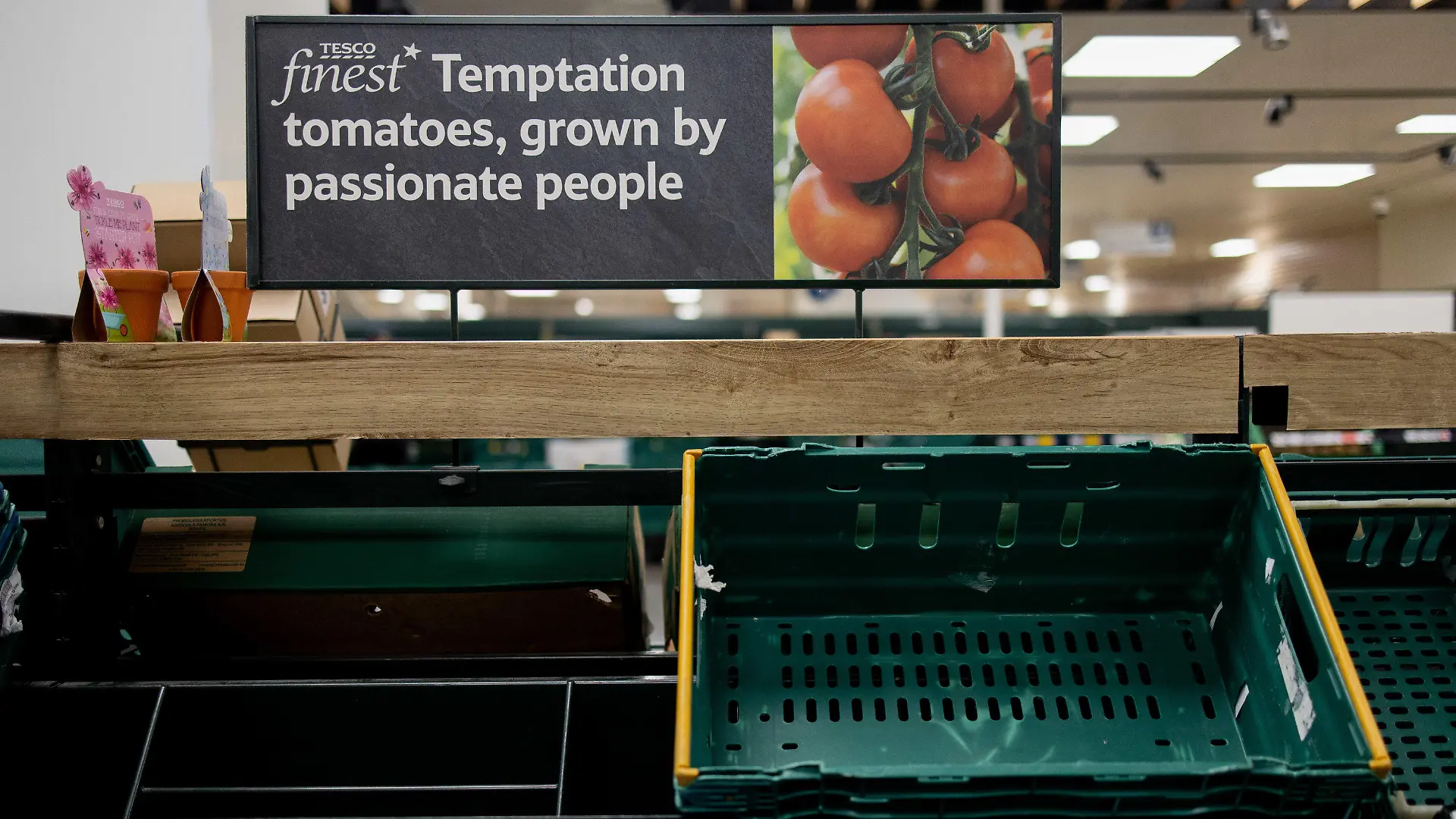 22.02.2023, Großbritannien, London: In einem Tesco-Supermarkt hängt ein Schild an den Regalen, das die Kunden an die geltenden Einkaufsbeschränkungen erinnert. Supermärkte in ganz Großbritannien haben derzeit Schwierigkeiten, die Versorgung mit frischem Gemüse und Obst wie Tomaten, Paprika und Gurken aufrechtzuerhalten, da das Wetter in Südeuropa sehr schlecht ist. Supermarktketten, darunter Aldi und Tesco, haben Rationierungen und Kaufbeschränkungen für bestimmte Obst- und Gemüsesorten angekündigt. Foto: Hesther Ng/SOPA Images via ZUMA Press Wire/dpa +++ dpa-Bildfunk +++