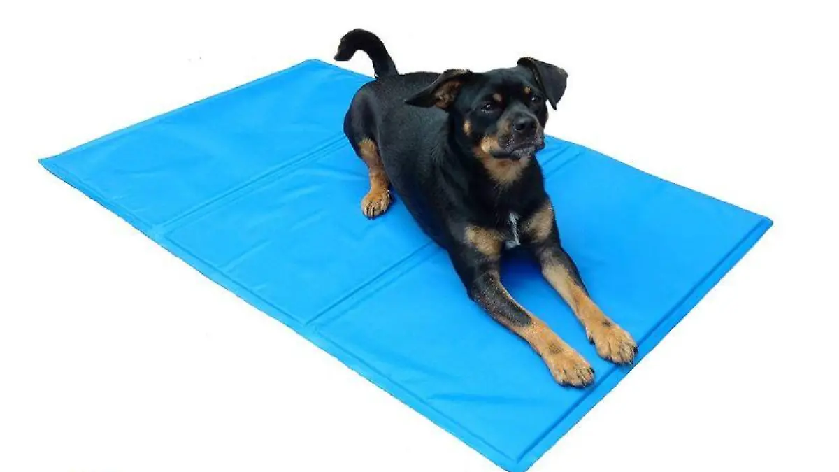 Kühlmatte für Hund