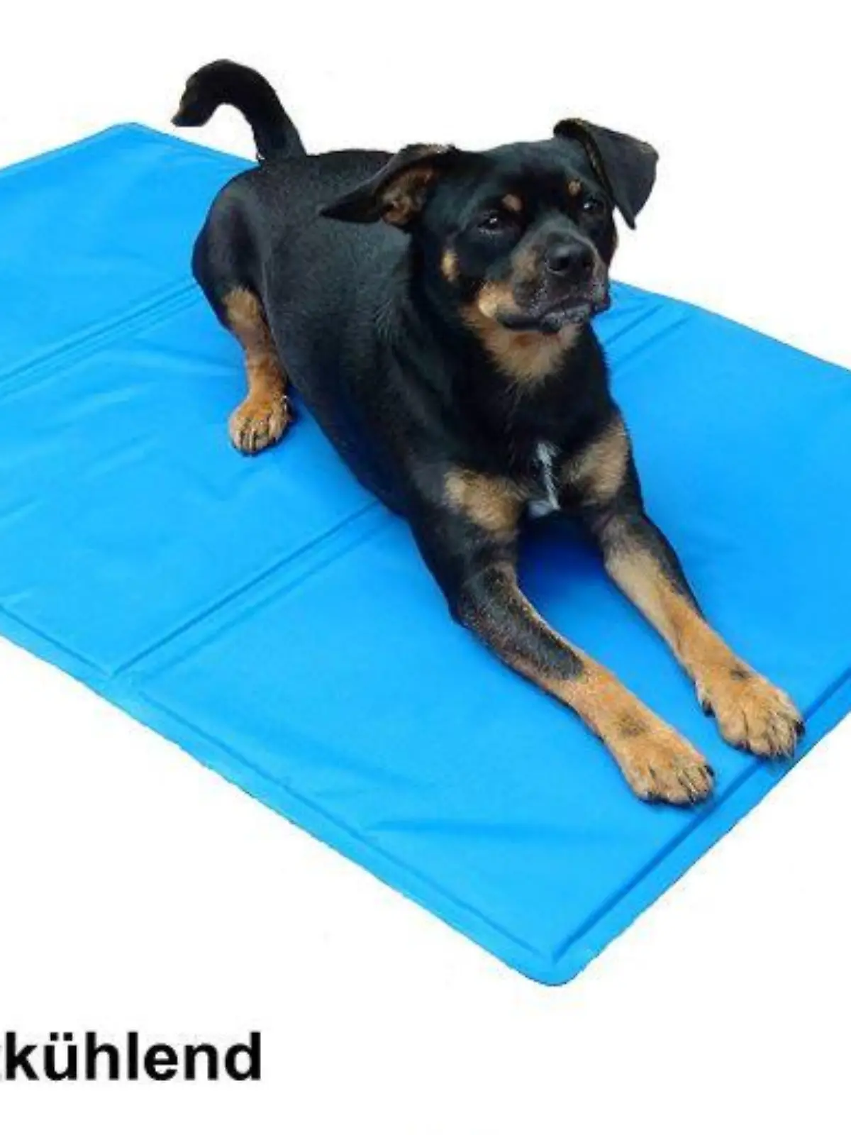 Kühlmatte für Hund