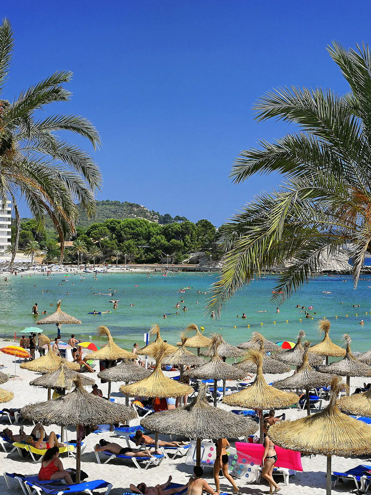 ARCHIV - Urlauber erholen sich in der Badebucht von Paguera auf der spanischen Baleareninsel Mallorca (Archivfoto vom  22.07.2006). Foto: Andreas Lander/dpa (zu dpa «Comeback der Reisebüros: «Urlauber kehren aus dem Netz zurück»» vom 26.03.2016) +++(c) dpa - Bildfunk+++