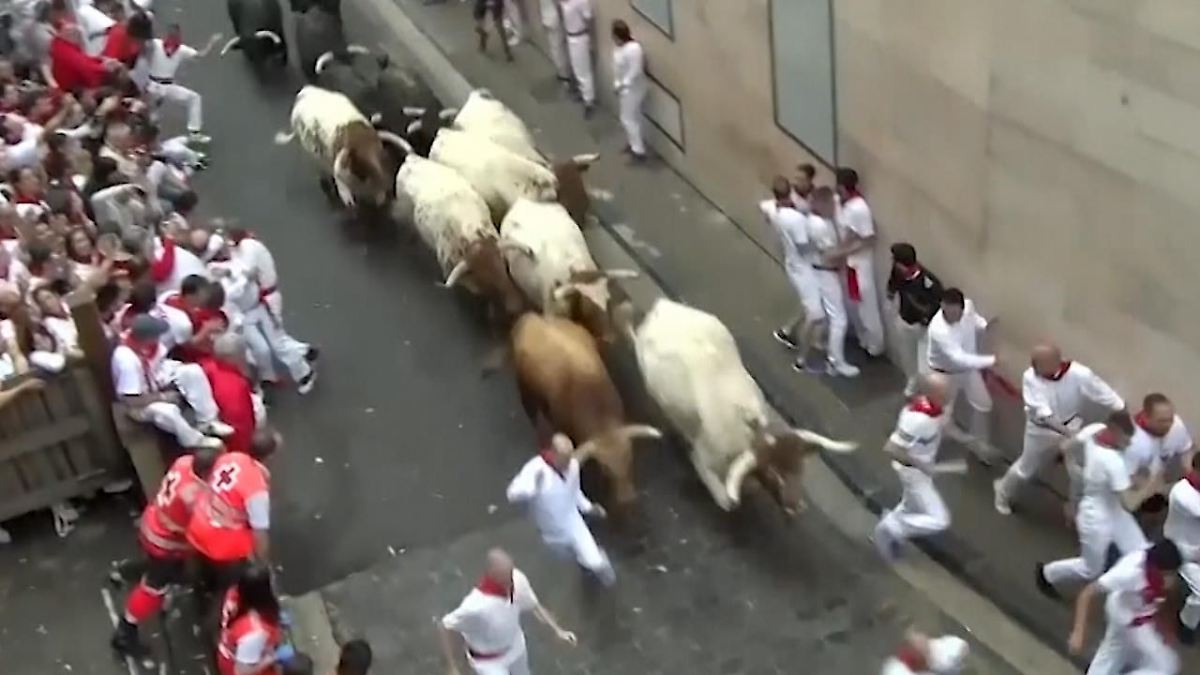 Stierhatz in Pamplona hat begonnen