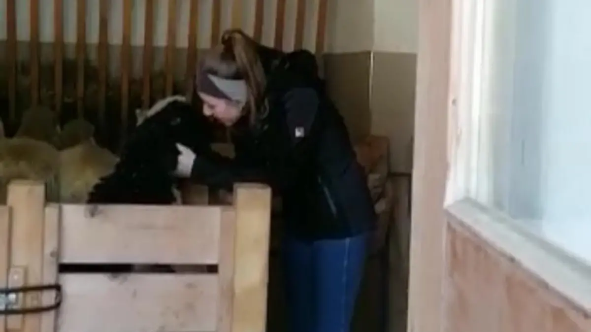 Marina und Evi machen jeden Tag einen gemeinsamen Spaziergang.