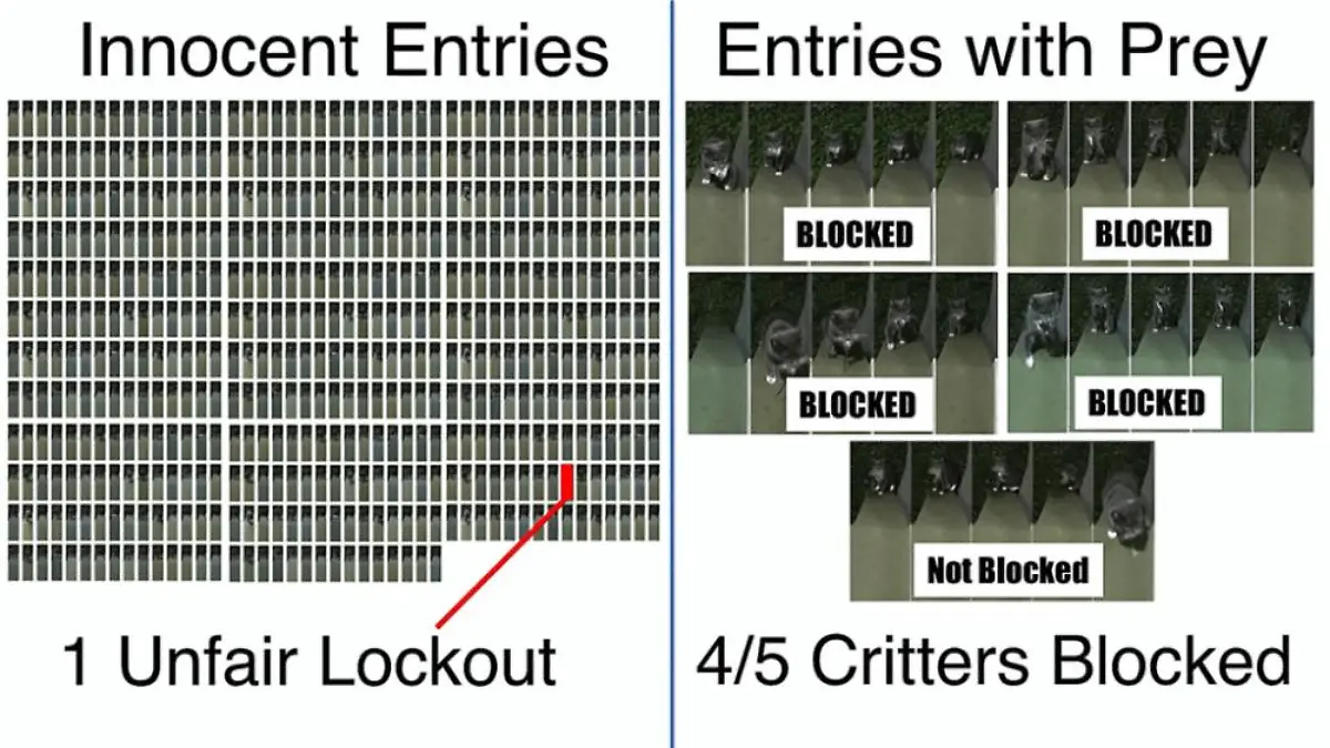 Auswertung intelligente Katzenklappe