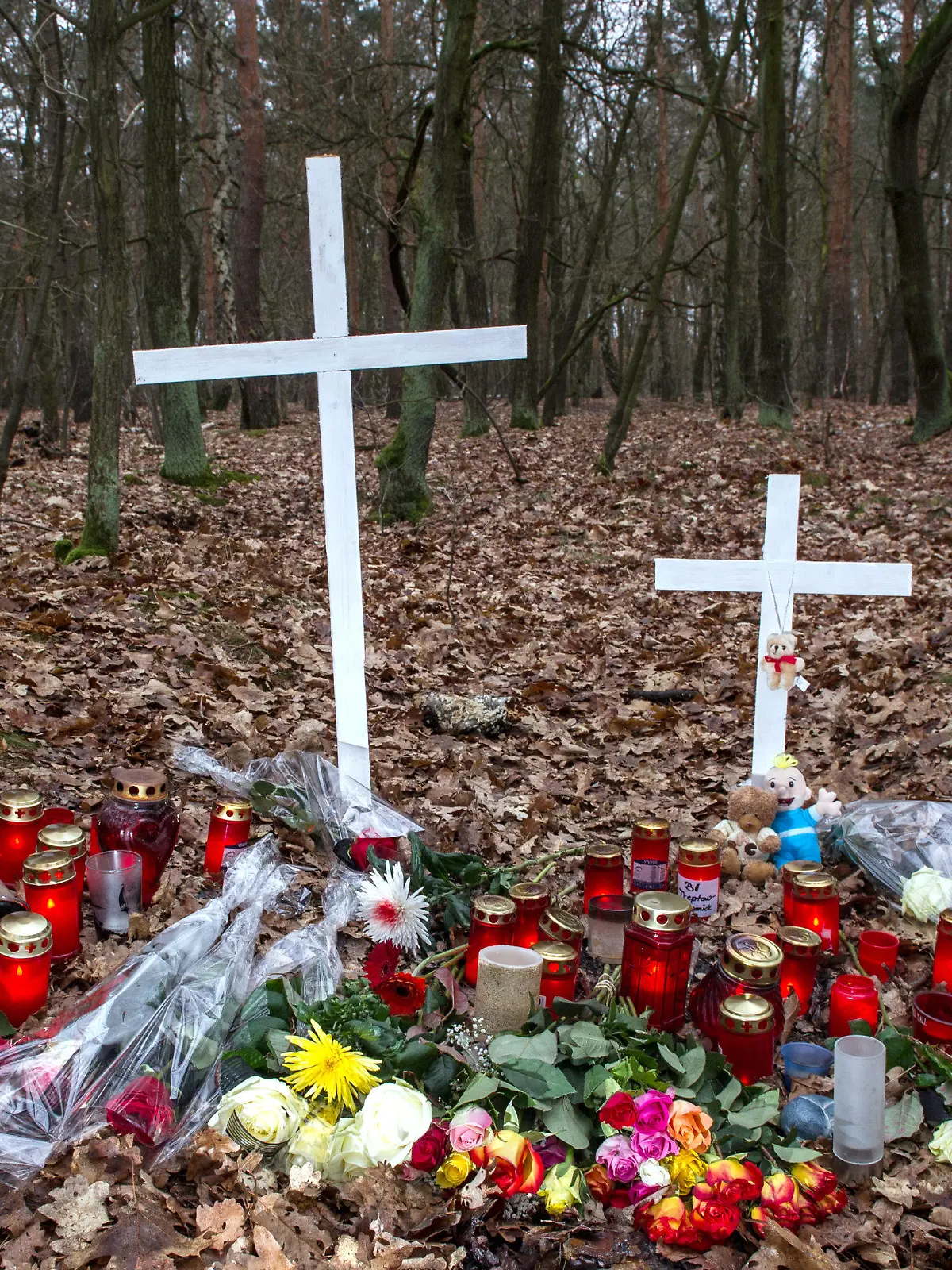 Kreuze, Blumen und Kerzen sind am 26.01.2015 in Berlin in einem Waldstück an der Bärenlauchstraße abgelegt worden. An dieser Stelle war eine Frau von Spaziergängern tot aufgefunden worden. Nach den bisherigen Ermittlungen wurde die schwangere Frau niedergestochen und dann noch lebend verbrannt. Die Polizei hat zwei Tatverdächtige festgenommen. Foto: Paul Zinken/dpa +++(c) dpa - Bildfunk+++