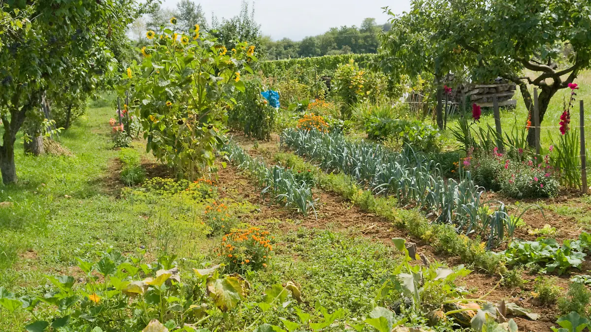 Ökodorf: Solidarität statt Rendite Alternative Lebensform in Frankreich
