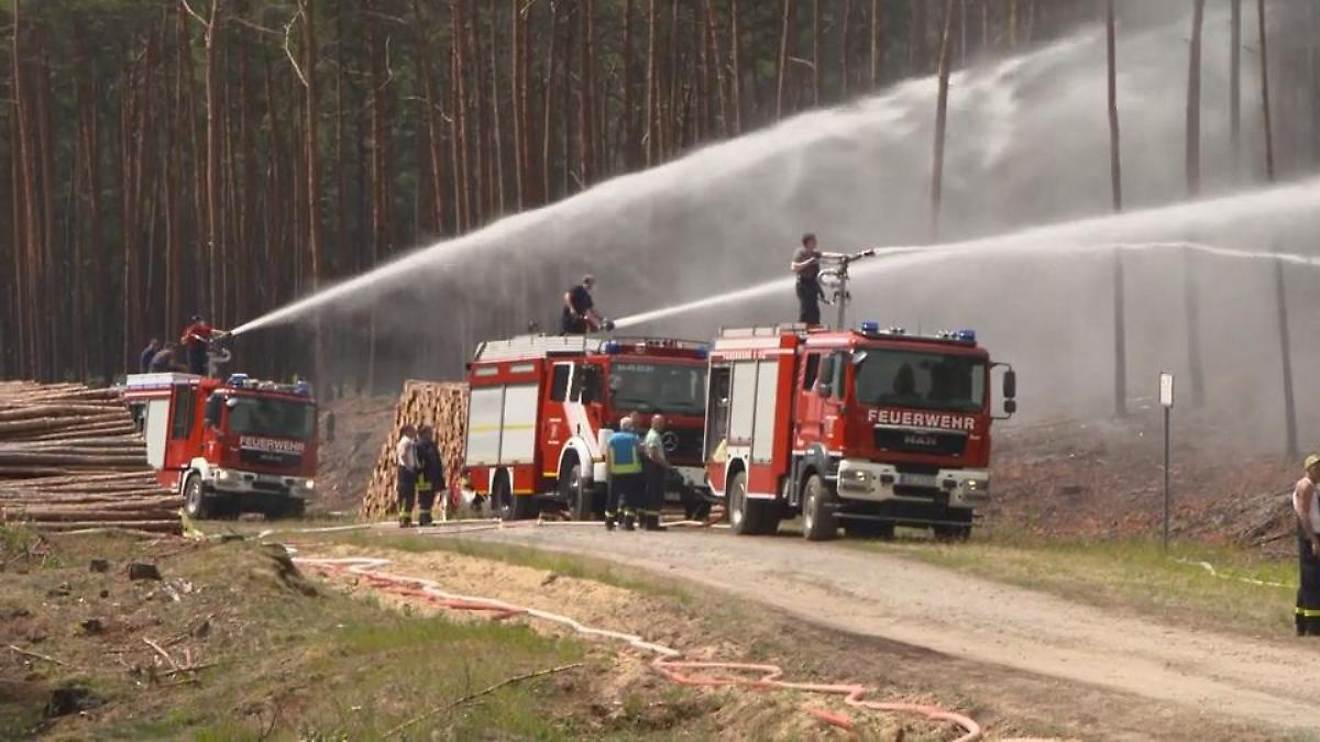 Waldbrand immer noch nicht unter Kontrolle