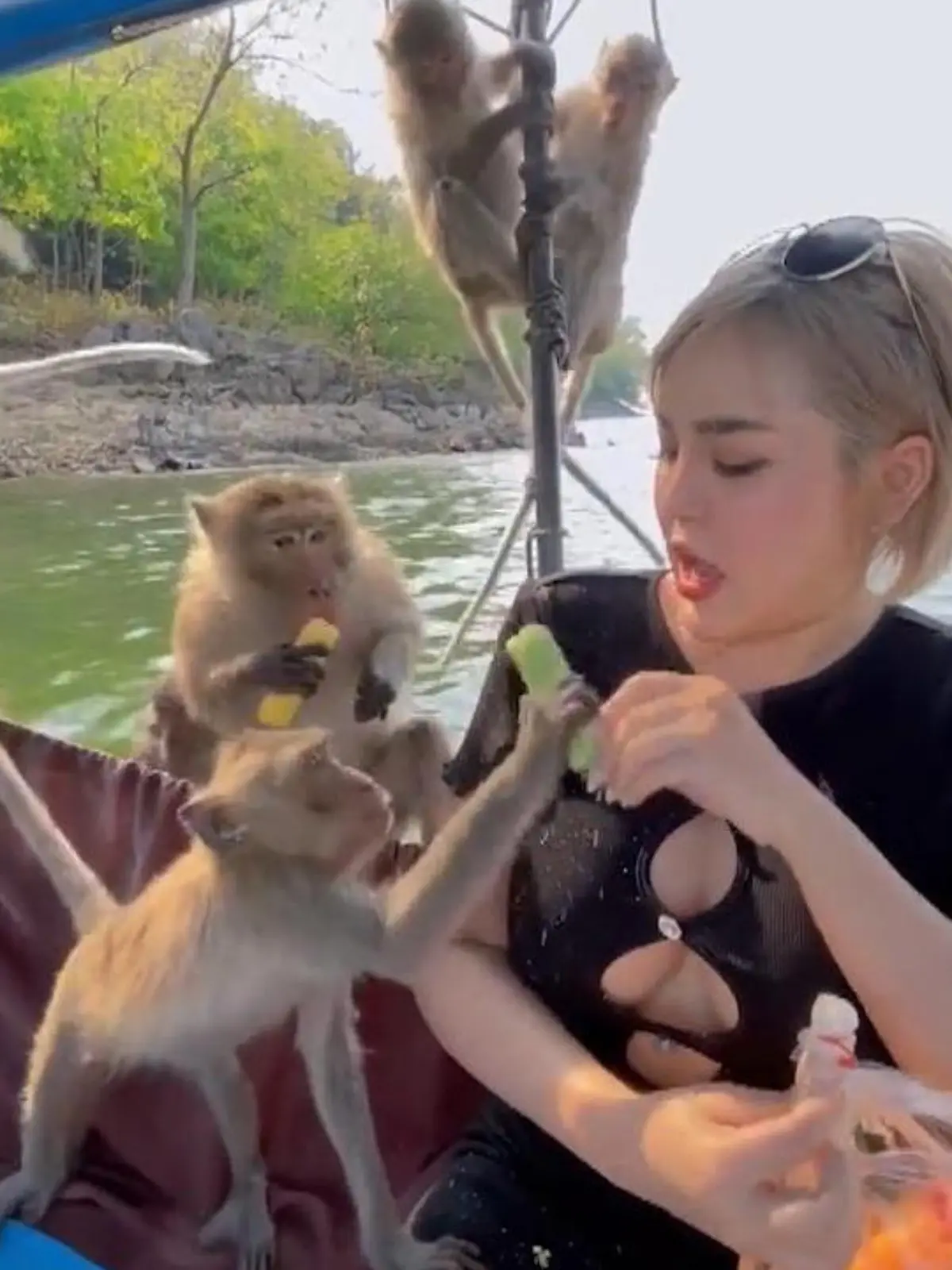 Essen hoch, das ist ein Überfall! Diese Touristengruppe war unterwegs in Thailand, um auf einer Insel eine Gruppe Affen zu füttern. Doch als die an Menschen gewöhnten Makaken das Touristenboot sehen, entern sie es kurzerhand und greifen nach allem, was nicht niet- und nagelfest ist.