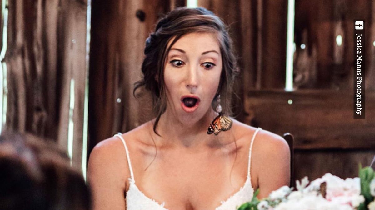 Schmetterlinge bei Hochzeit