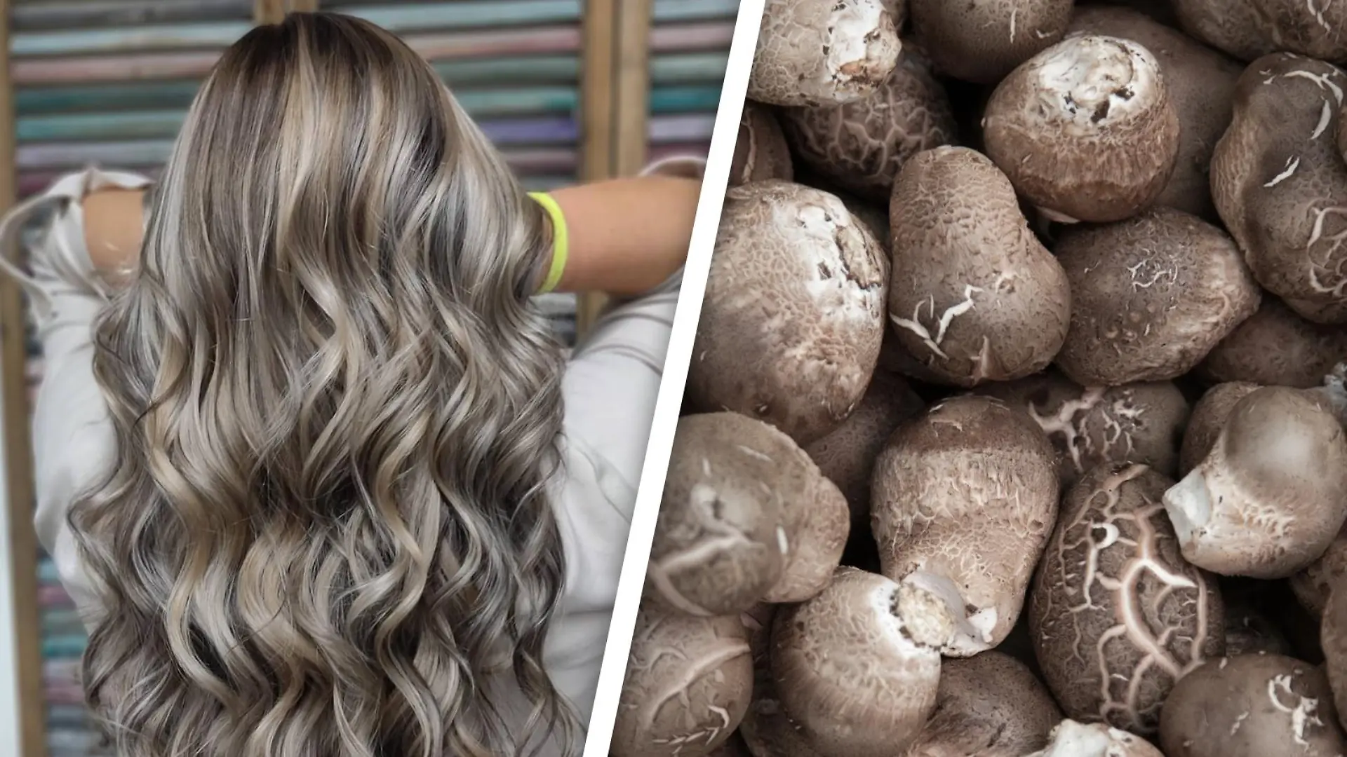Mushroom Blonde Hair