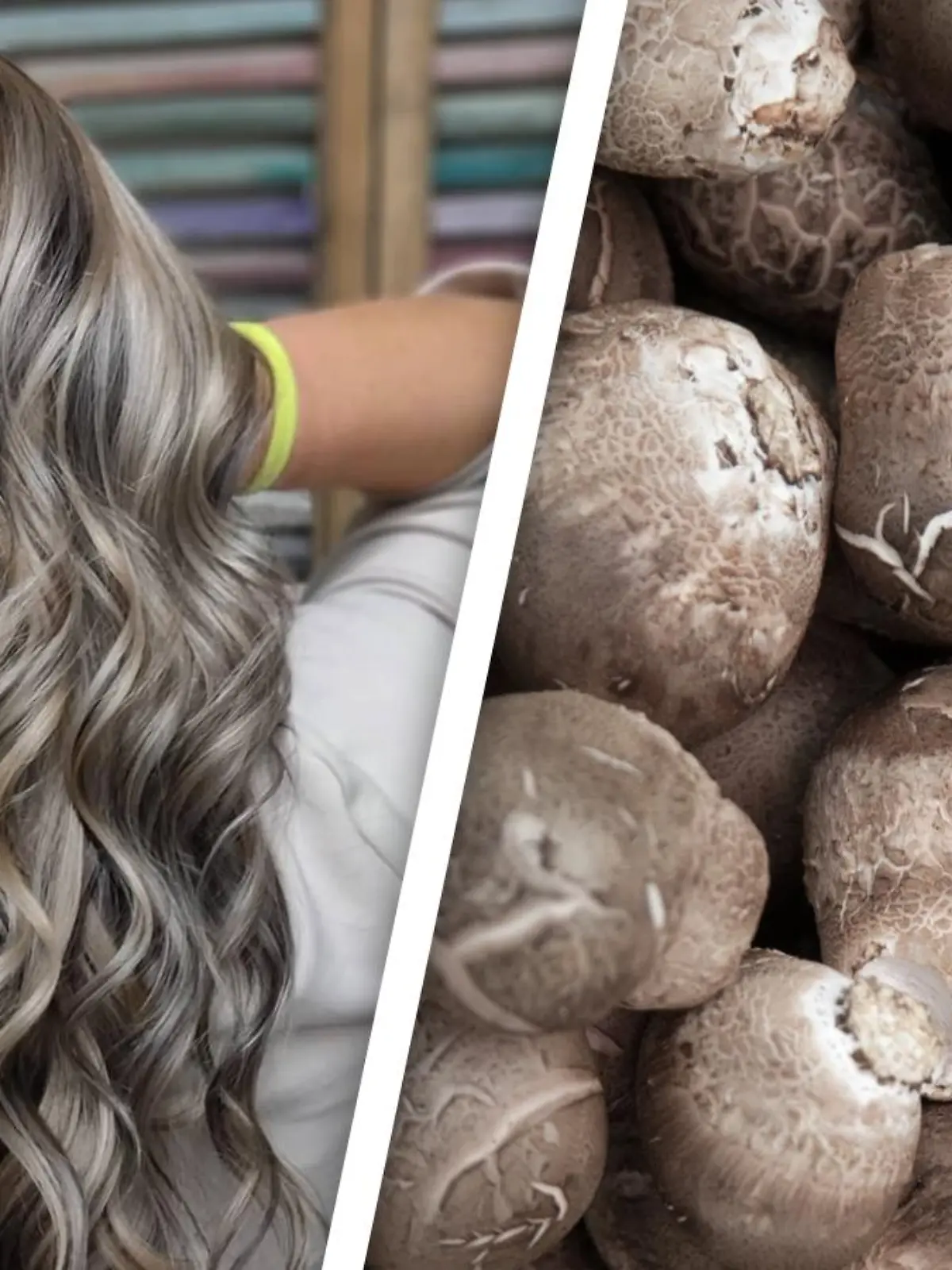 Mushroom Blonde Hair