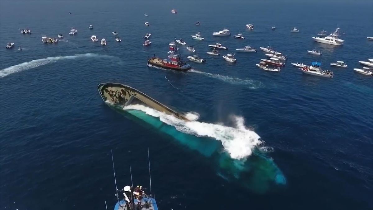 Kokainschiff wird zum Korallenriff