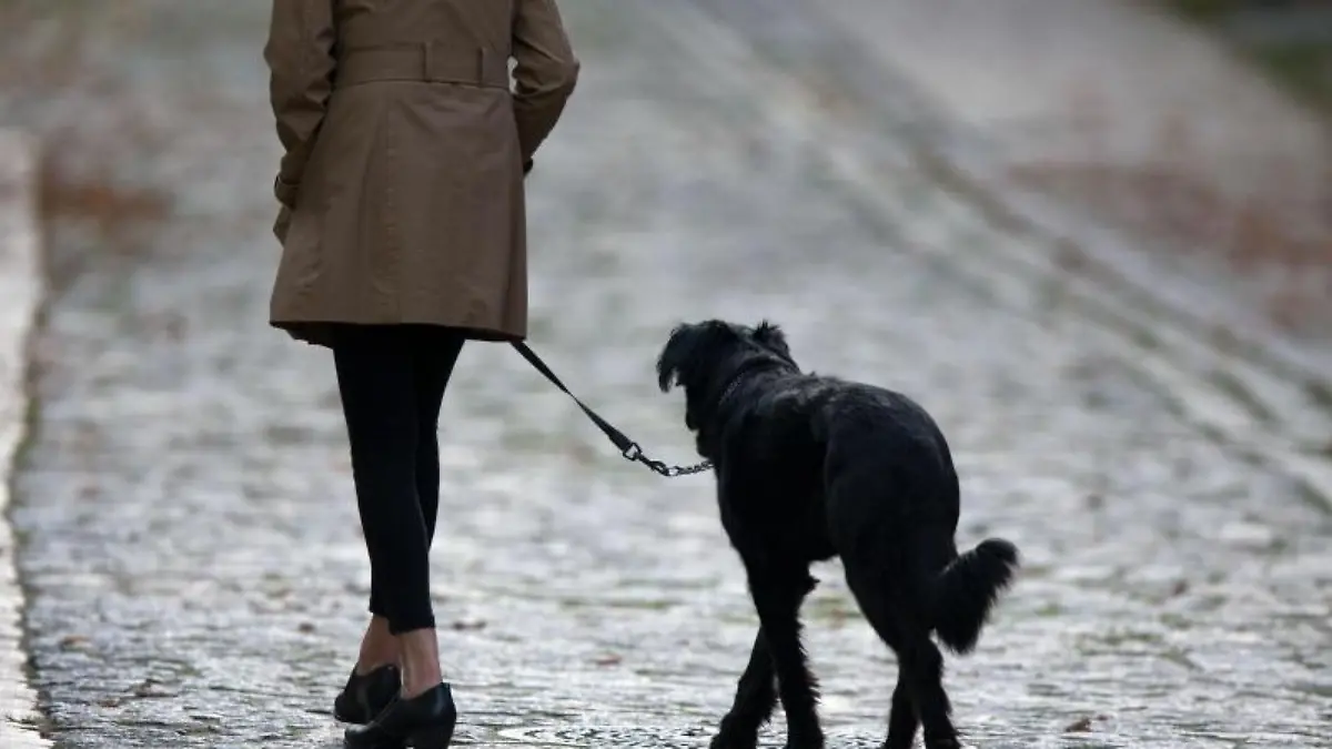 Frau mit Hund