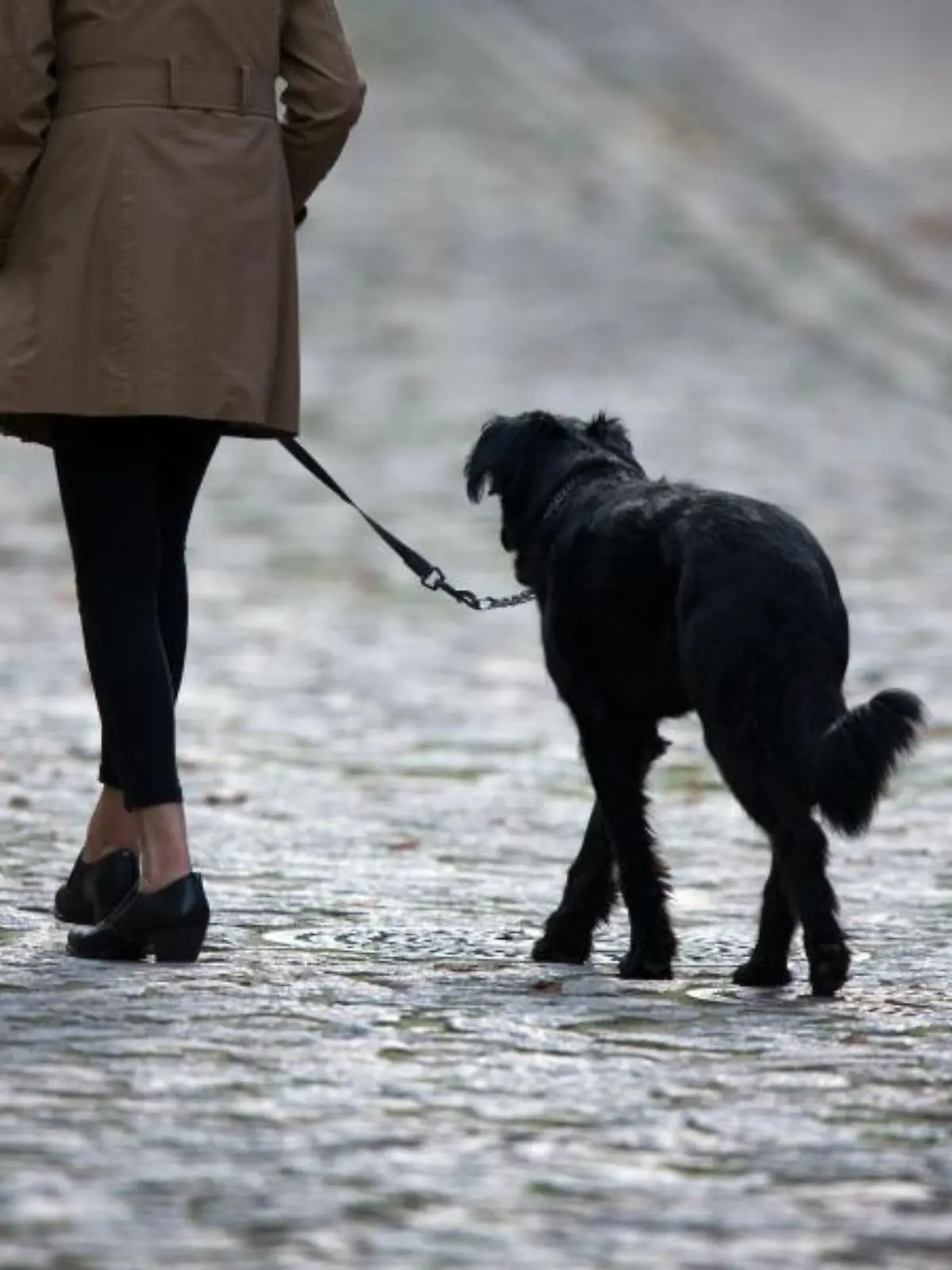 Frau mit Hund
