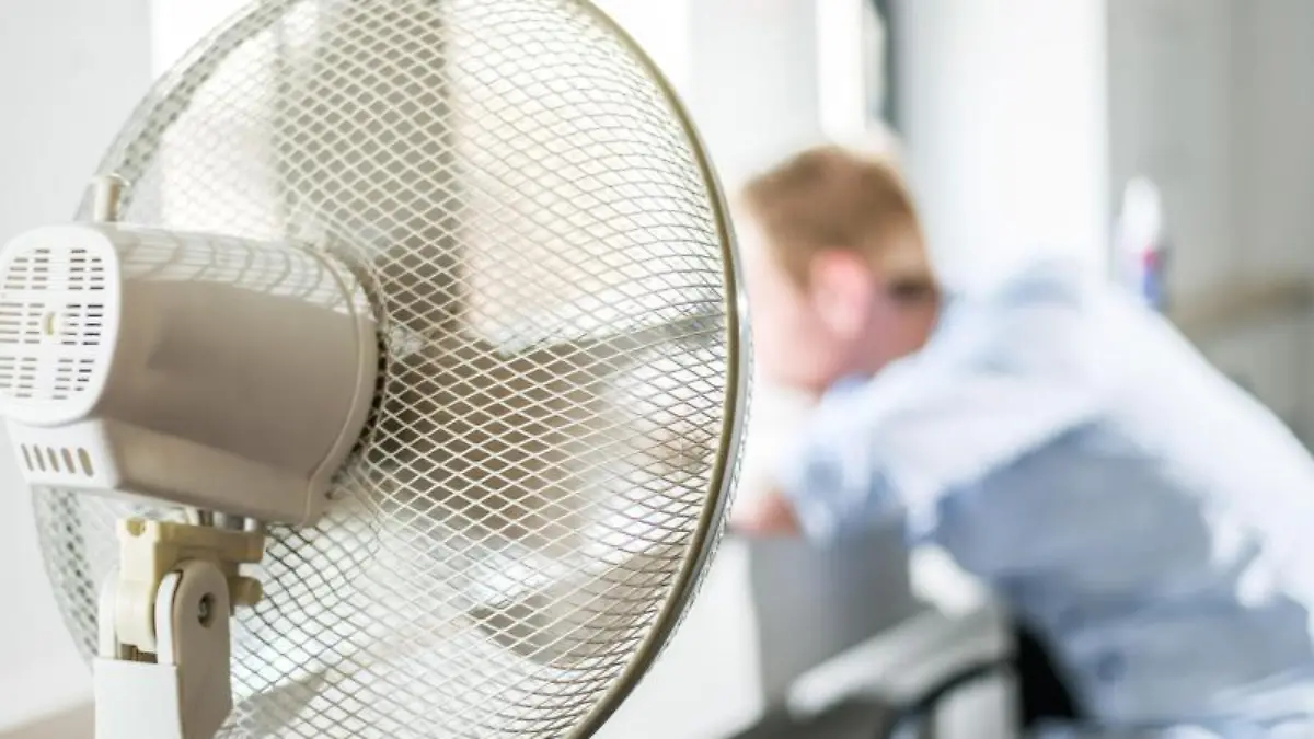 Ventilator