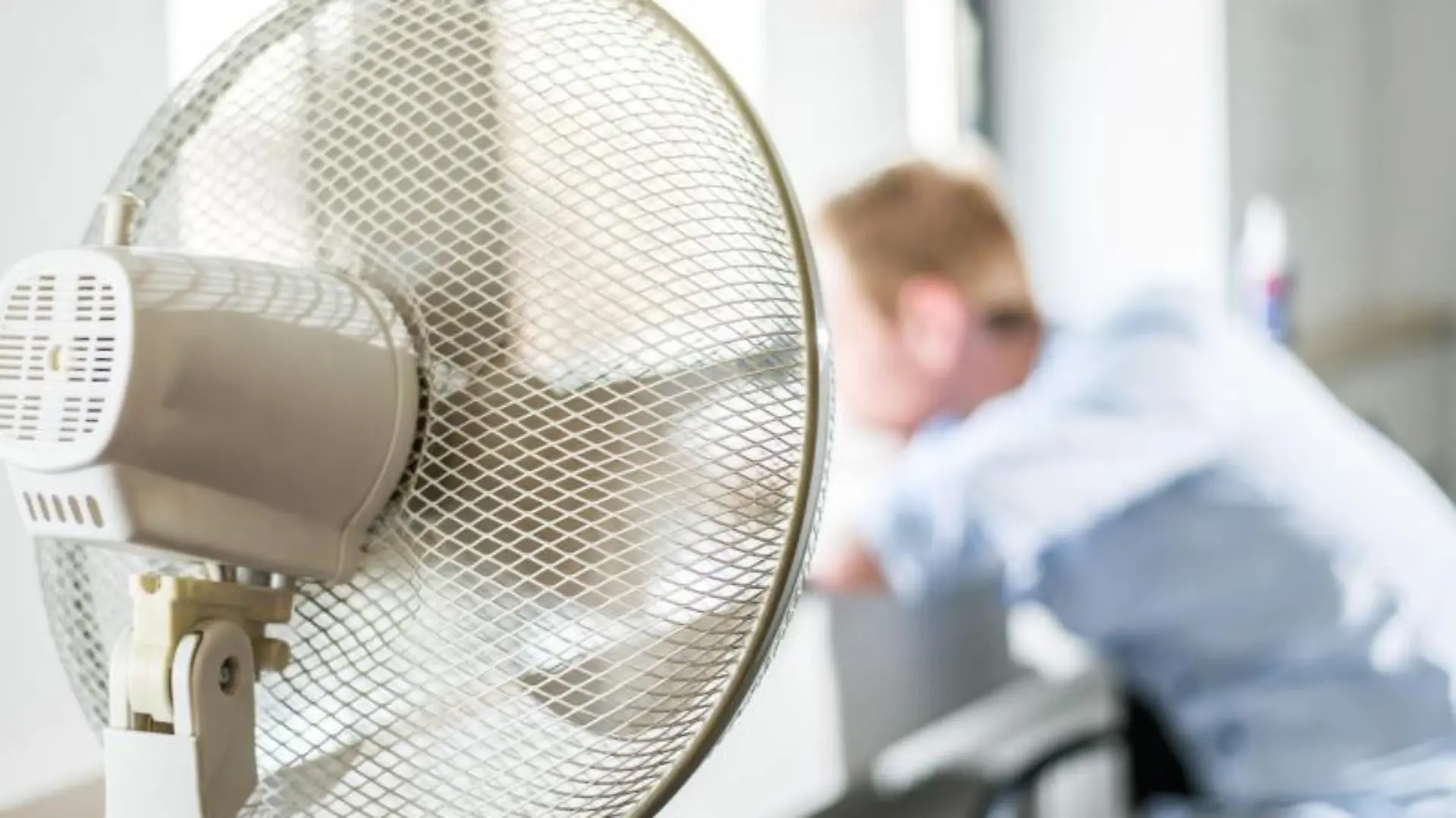 Ventilator