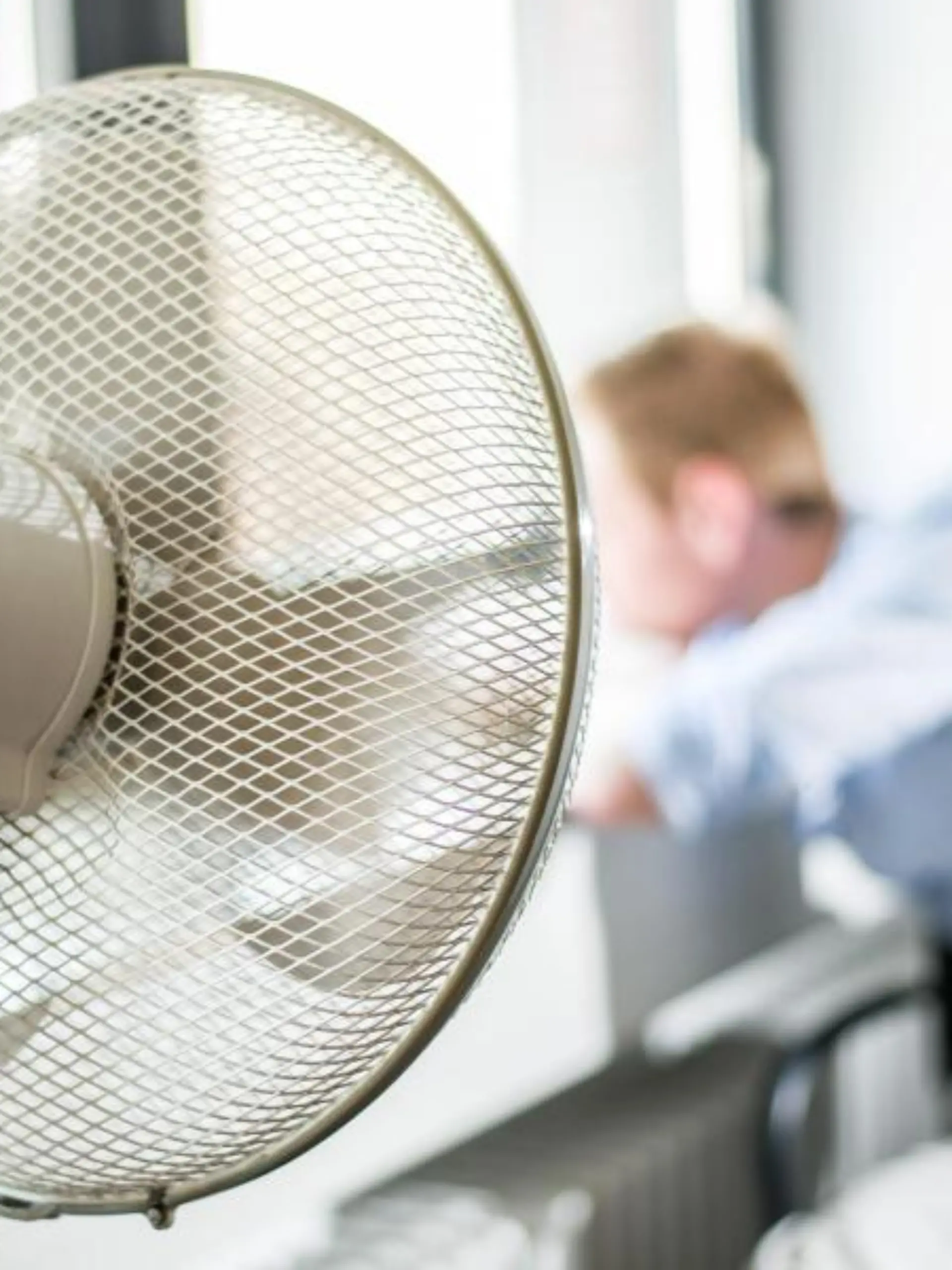 Ventilator
