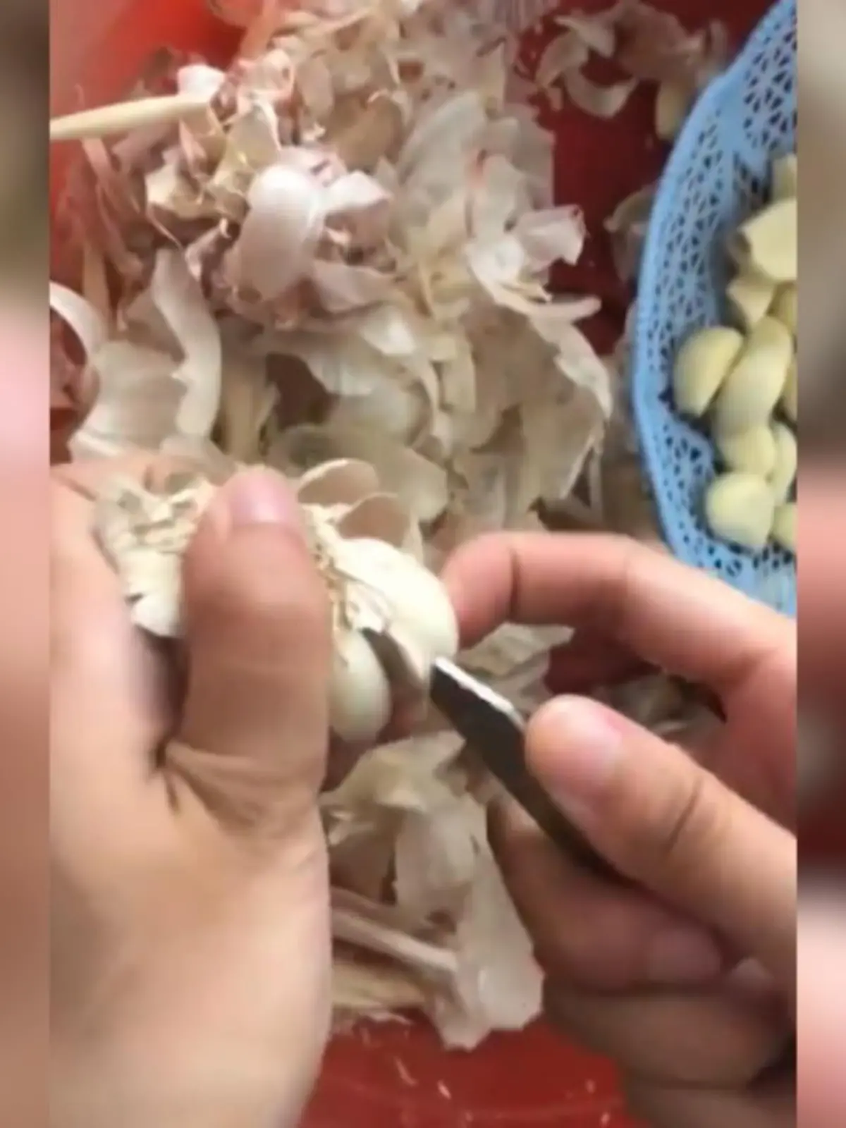 Bild zu: "So schnell kann man Knoblauch schälen!"