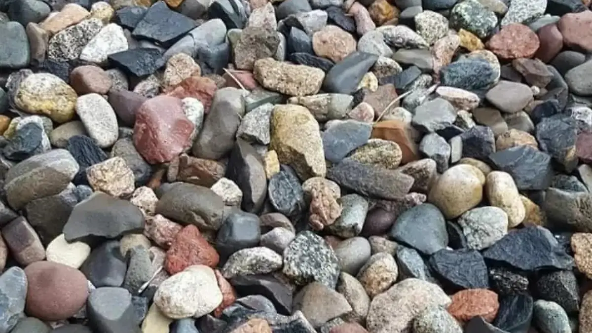 Suchbild Frosch versteckt sich zwischen Steinen