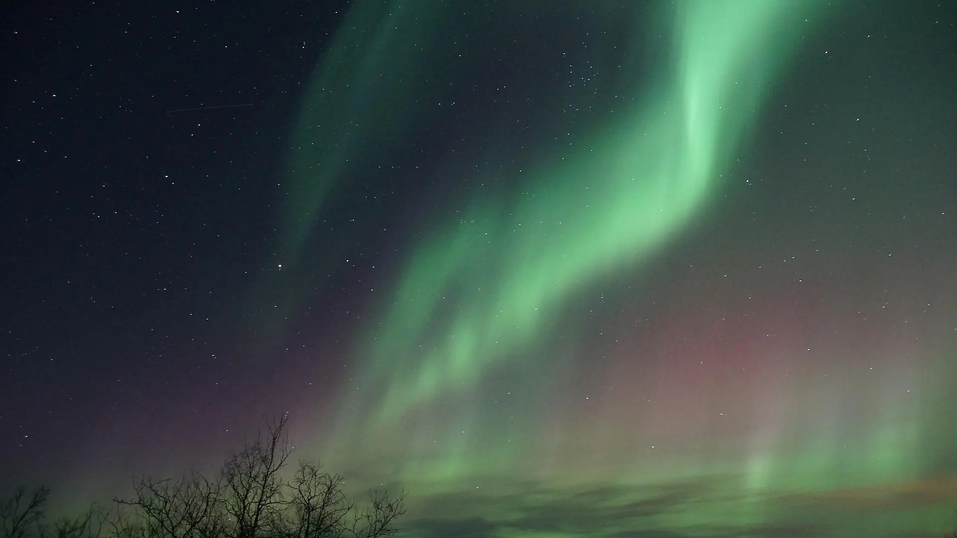 Polarlichter sind zwar selten in Norddeutschland zu sehen, aber wenn sie sich zeigen, ist es ein beeindruckendes Spektakel. (Symbolbild)